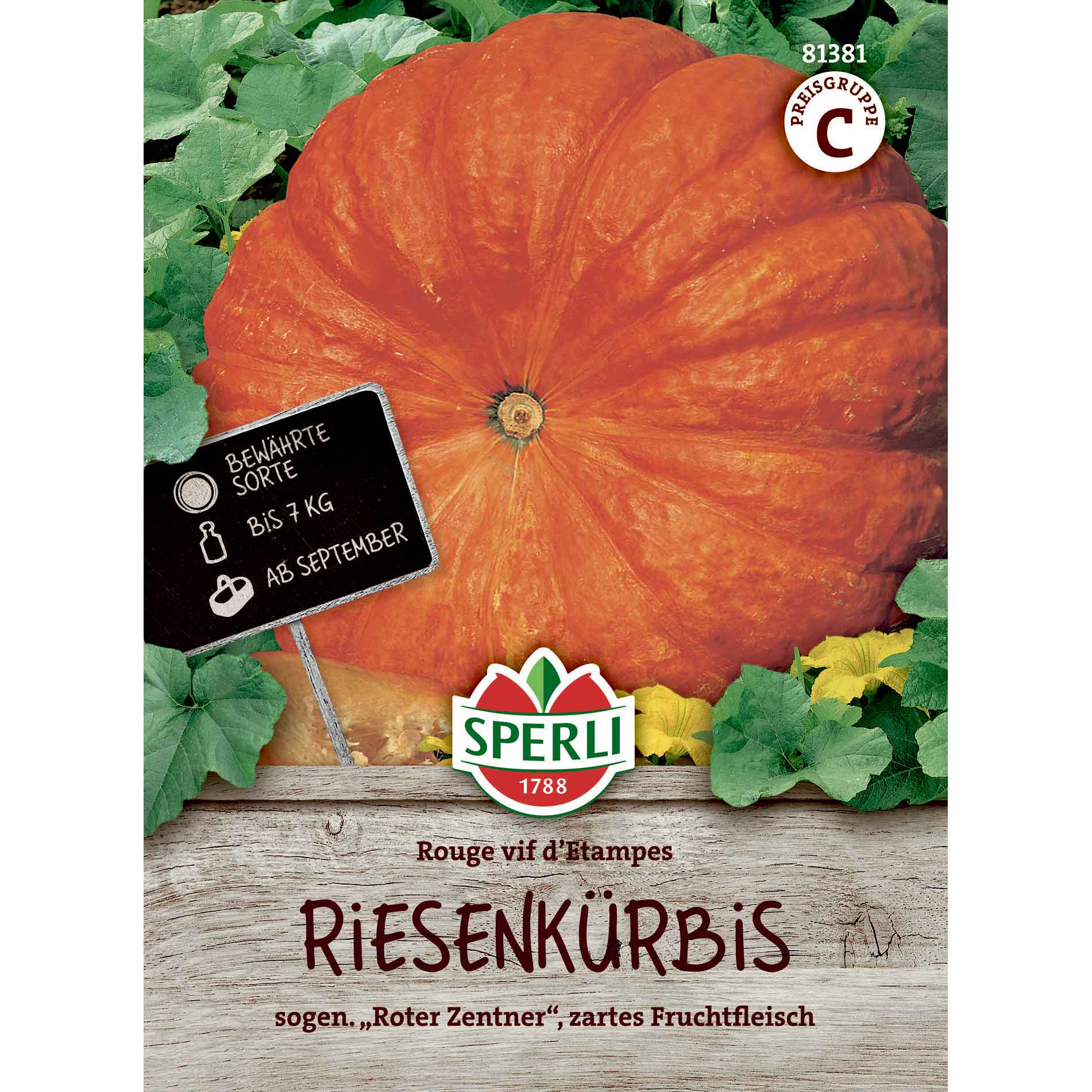 Pumpkin seeds - Kürbis Rouge vif d'Etampes