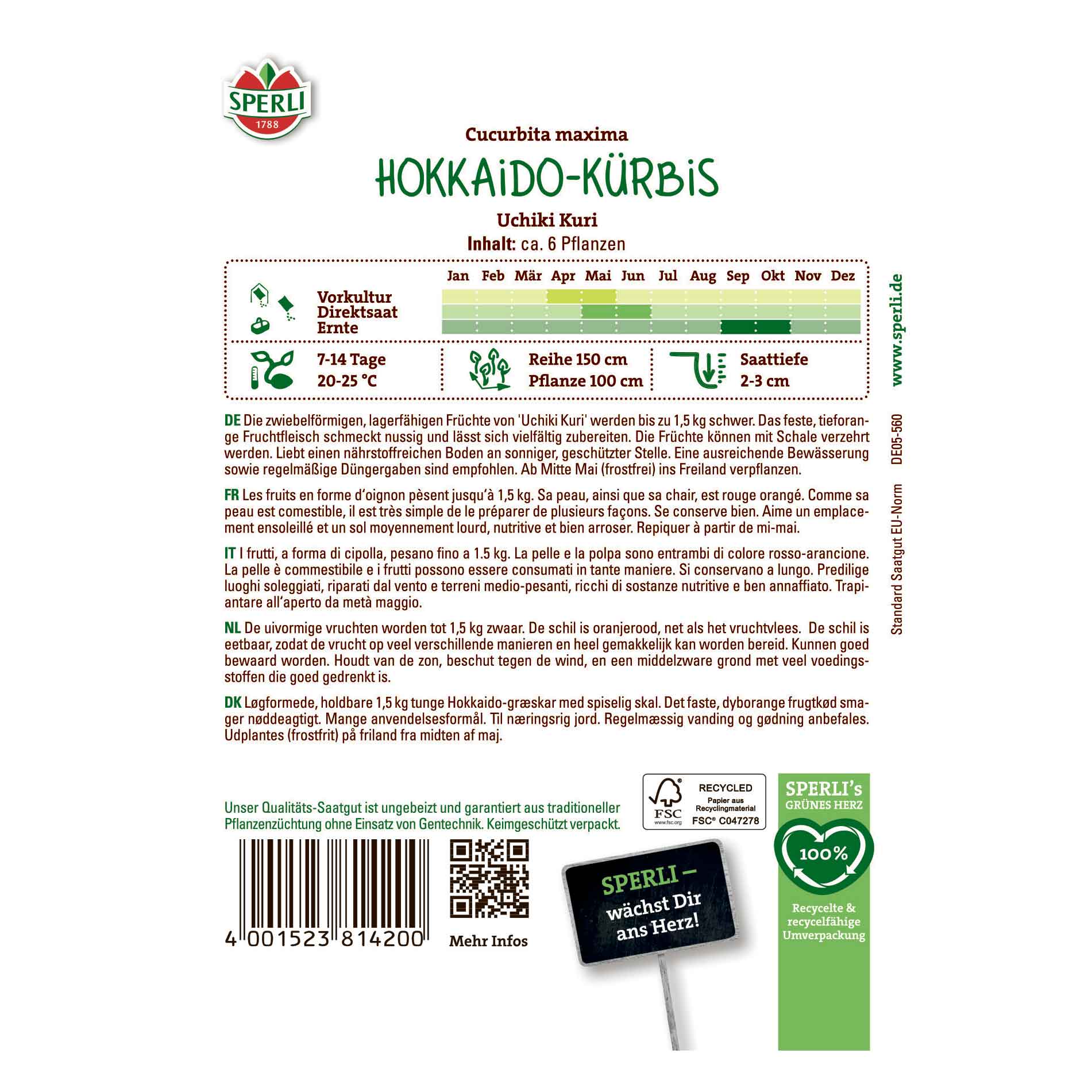 Pumpkin seeds - Hokkaido - Uchiki Kuri