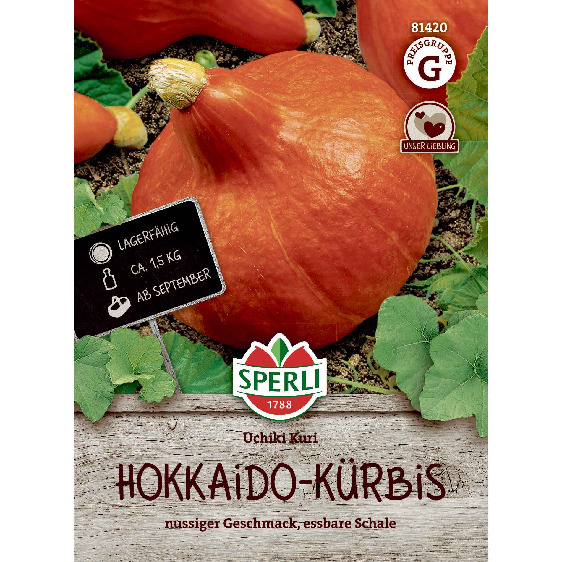 Pumpkin seeds - Hokkaido - Uchiki Kuri