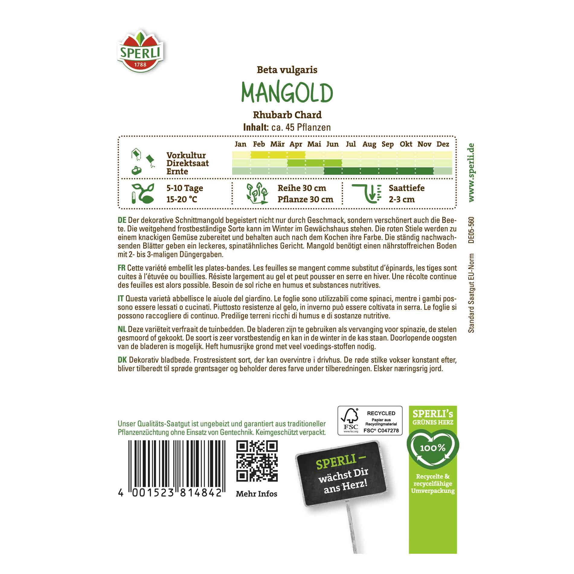 Mangold