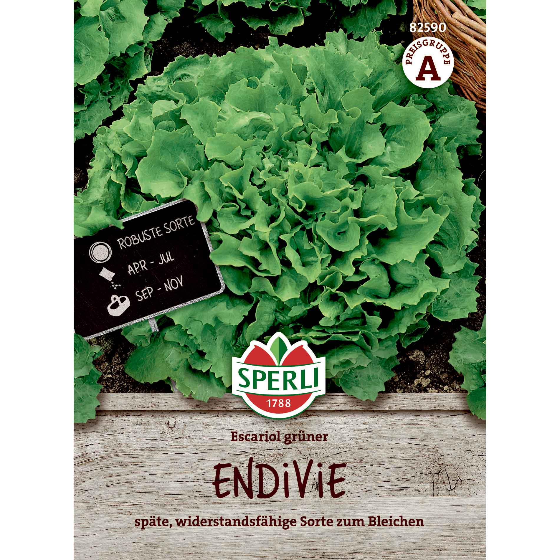 Endive salad seeds - Escariol grüner