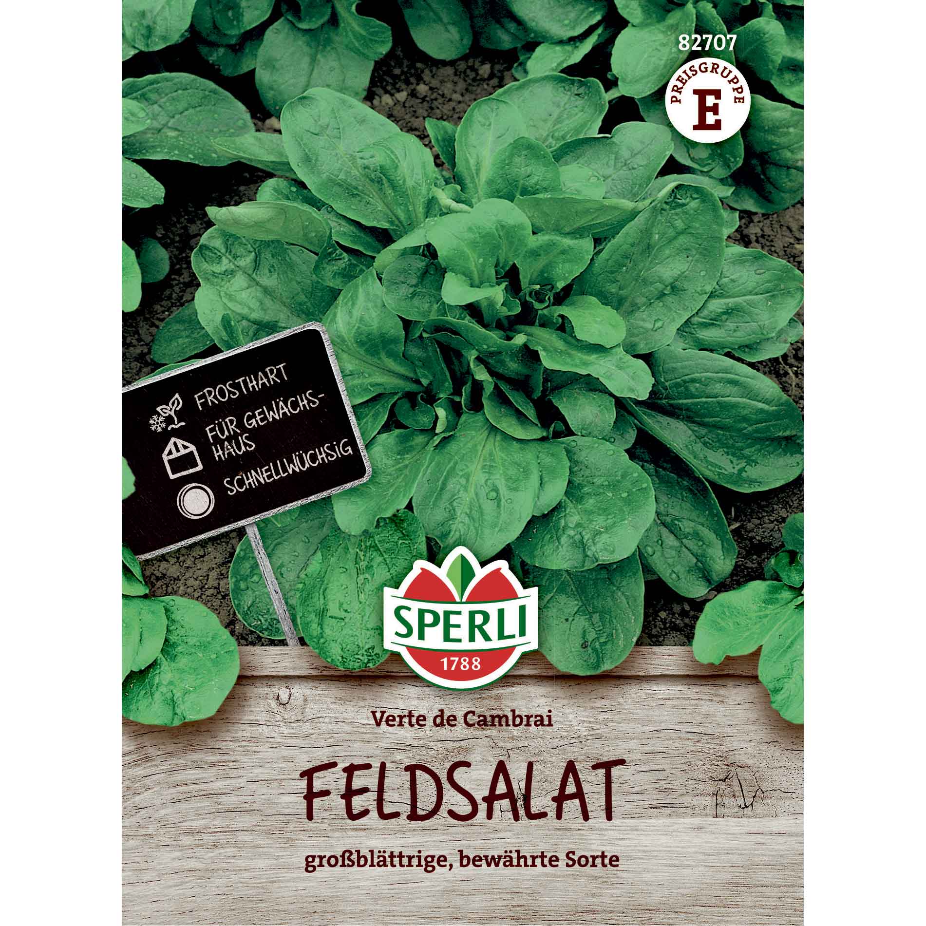 Fältsallatsfrön Verte de Cambrai