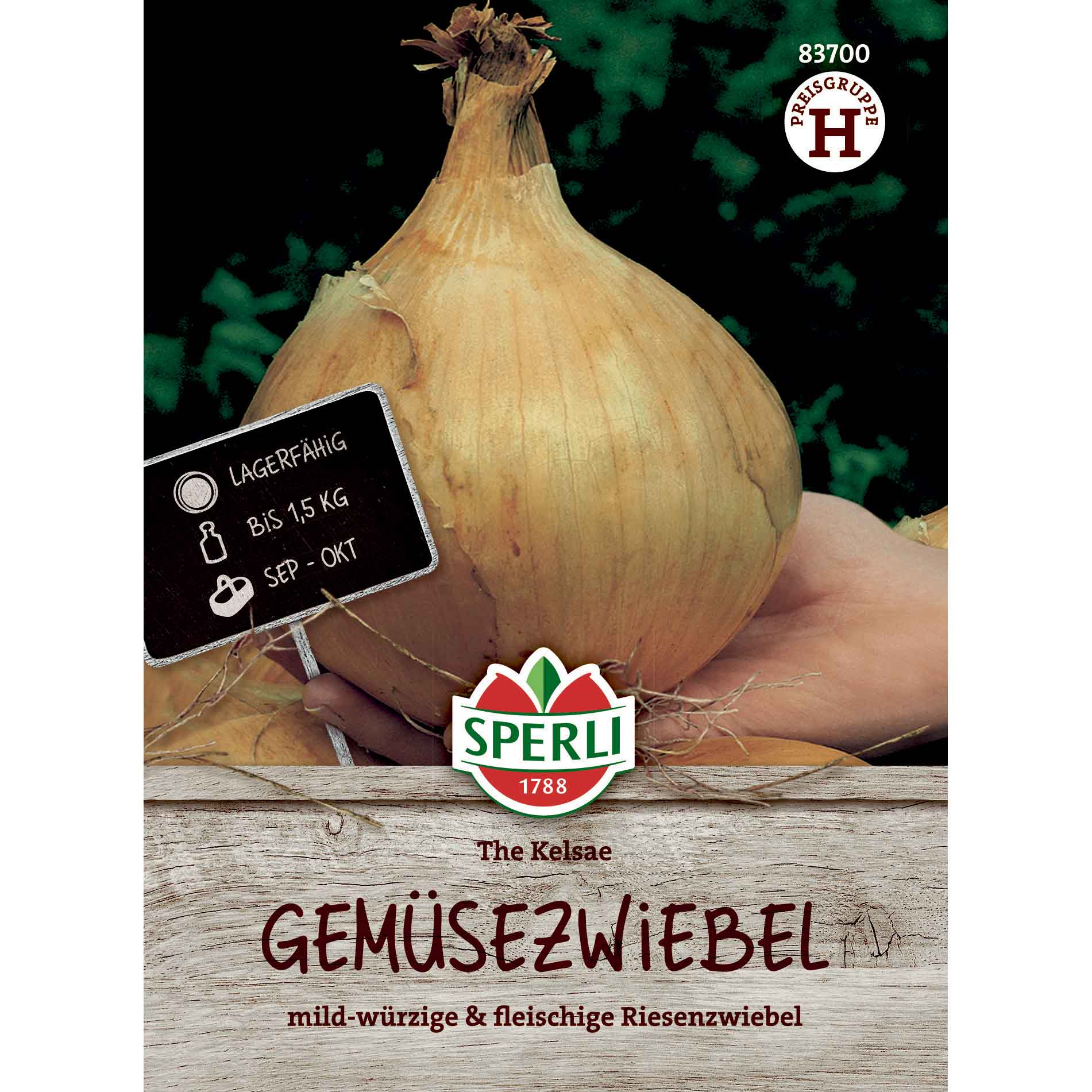 Zittauer lökfrön - The Kelsae - Sperli