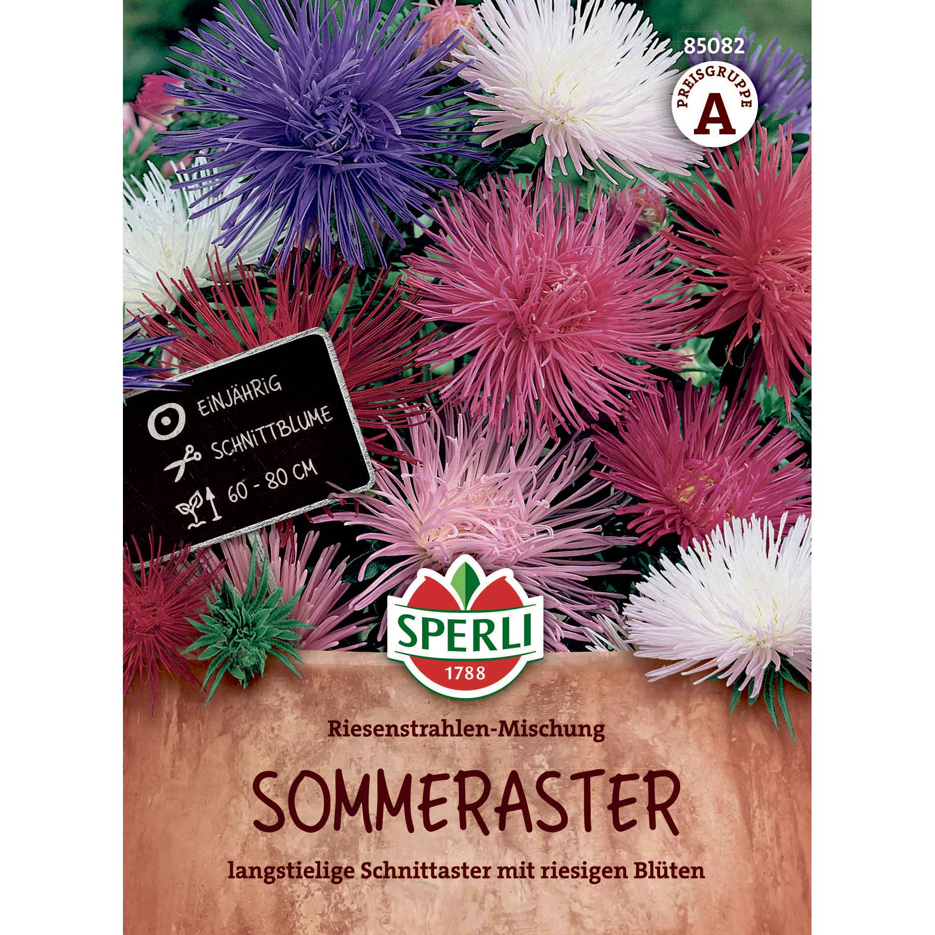 Aster Giant Rays Mixture