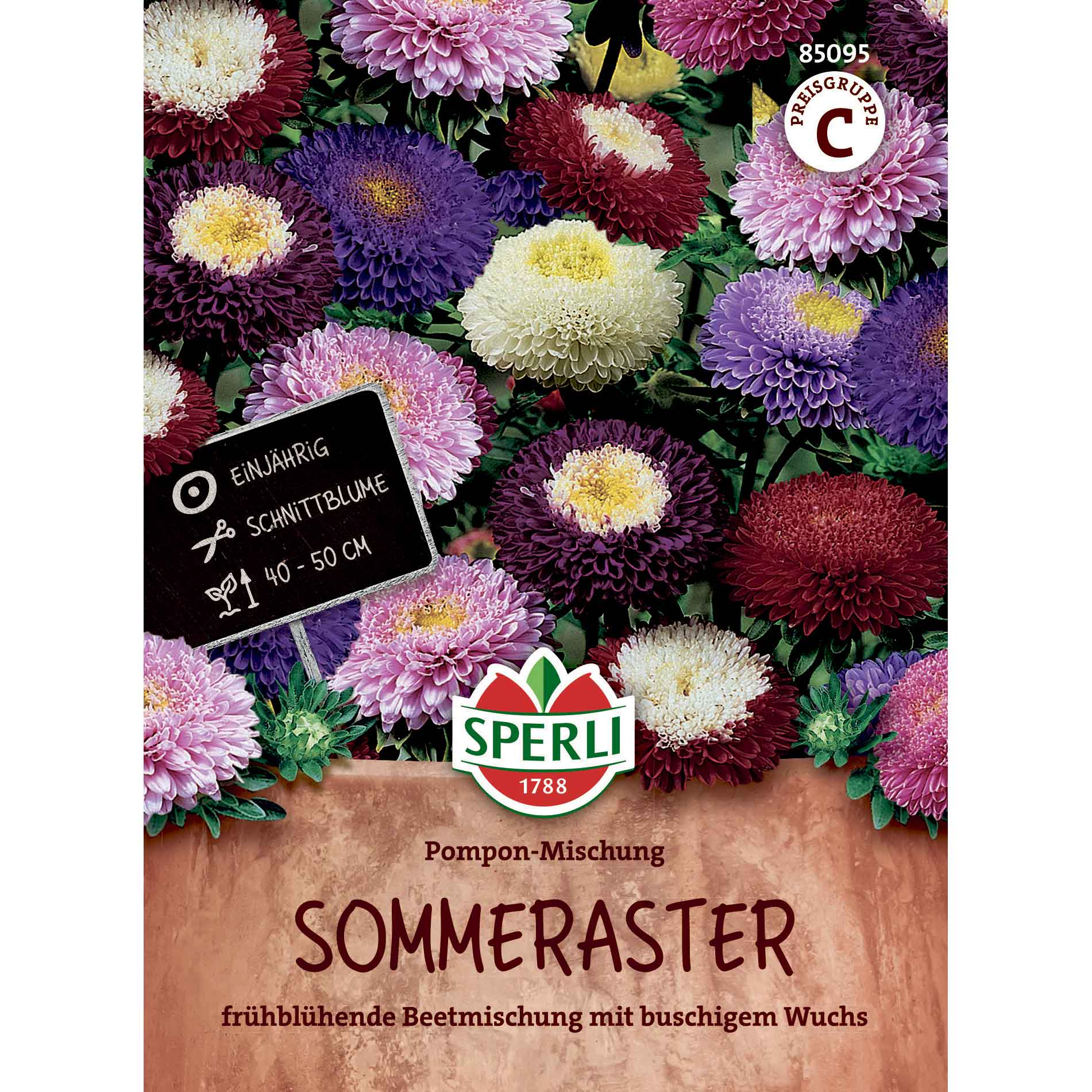 Aster frön Pompon mix