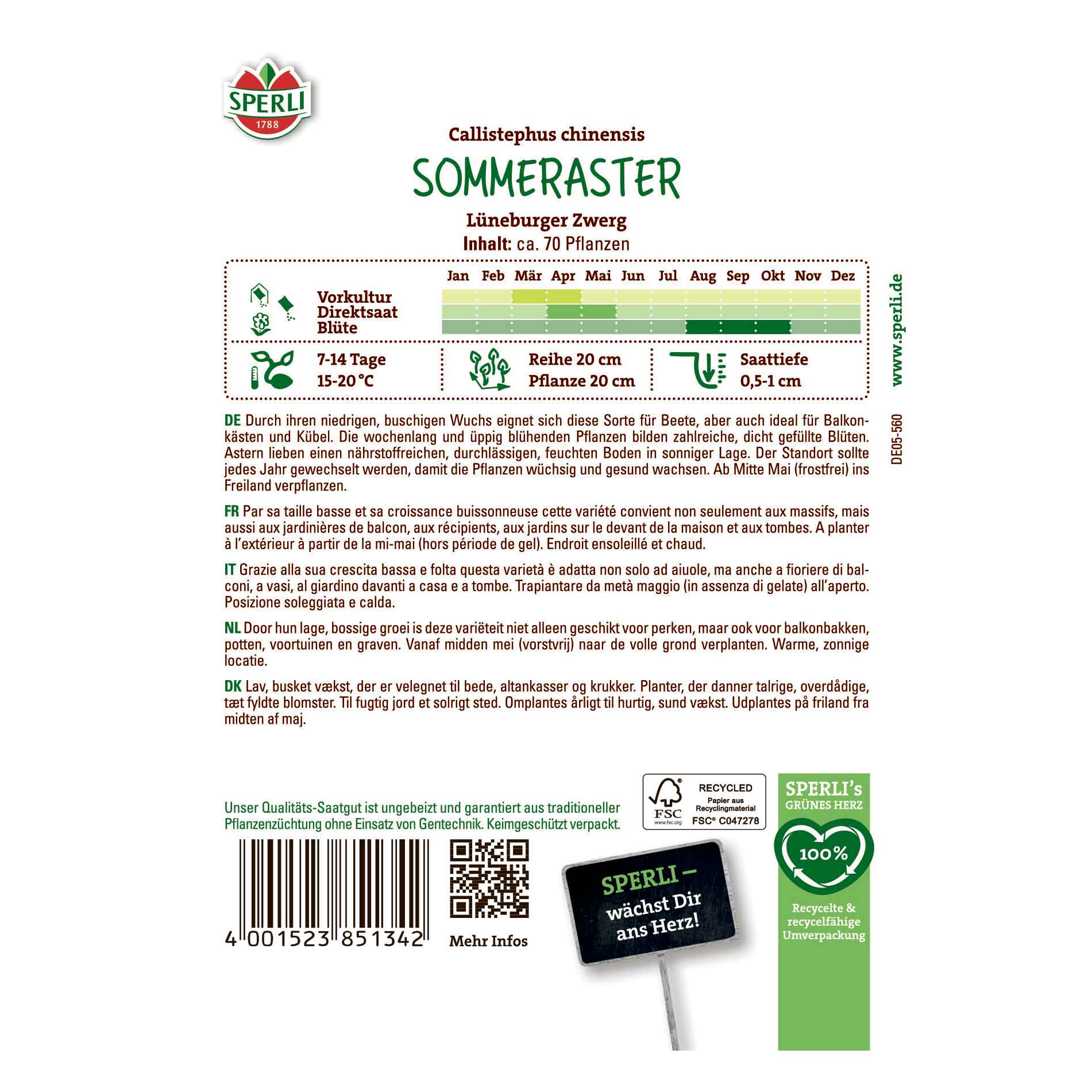 Asterfrön - Lüneburger Zwerg