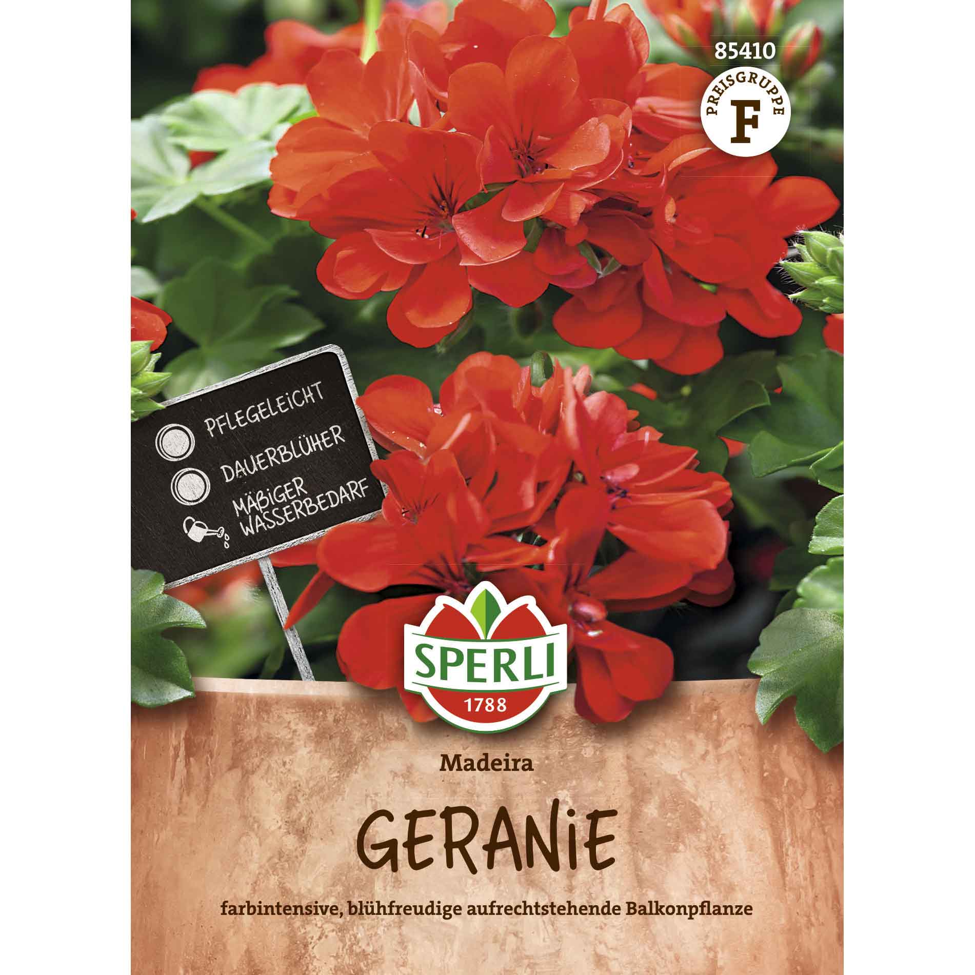 Pelargon Madeira, röd