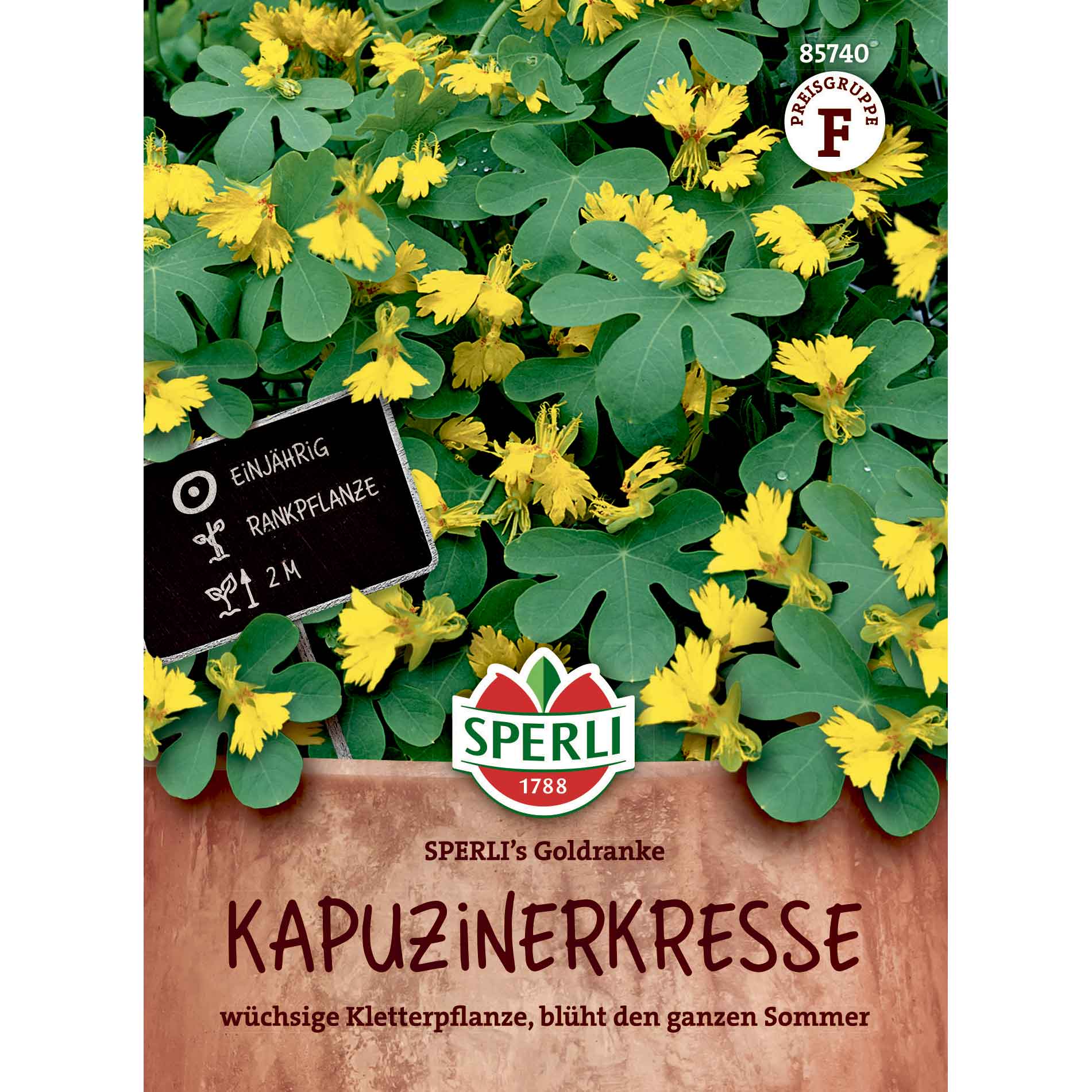 Flower cress - SPERLI's Goldvine