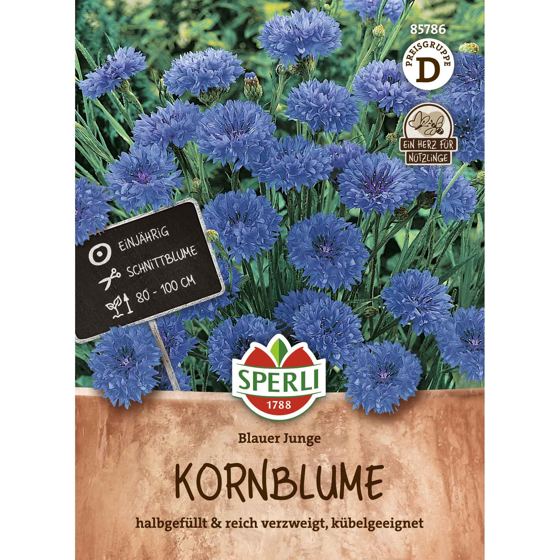 Kornblomst Blauer junge