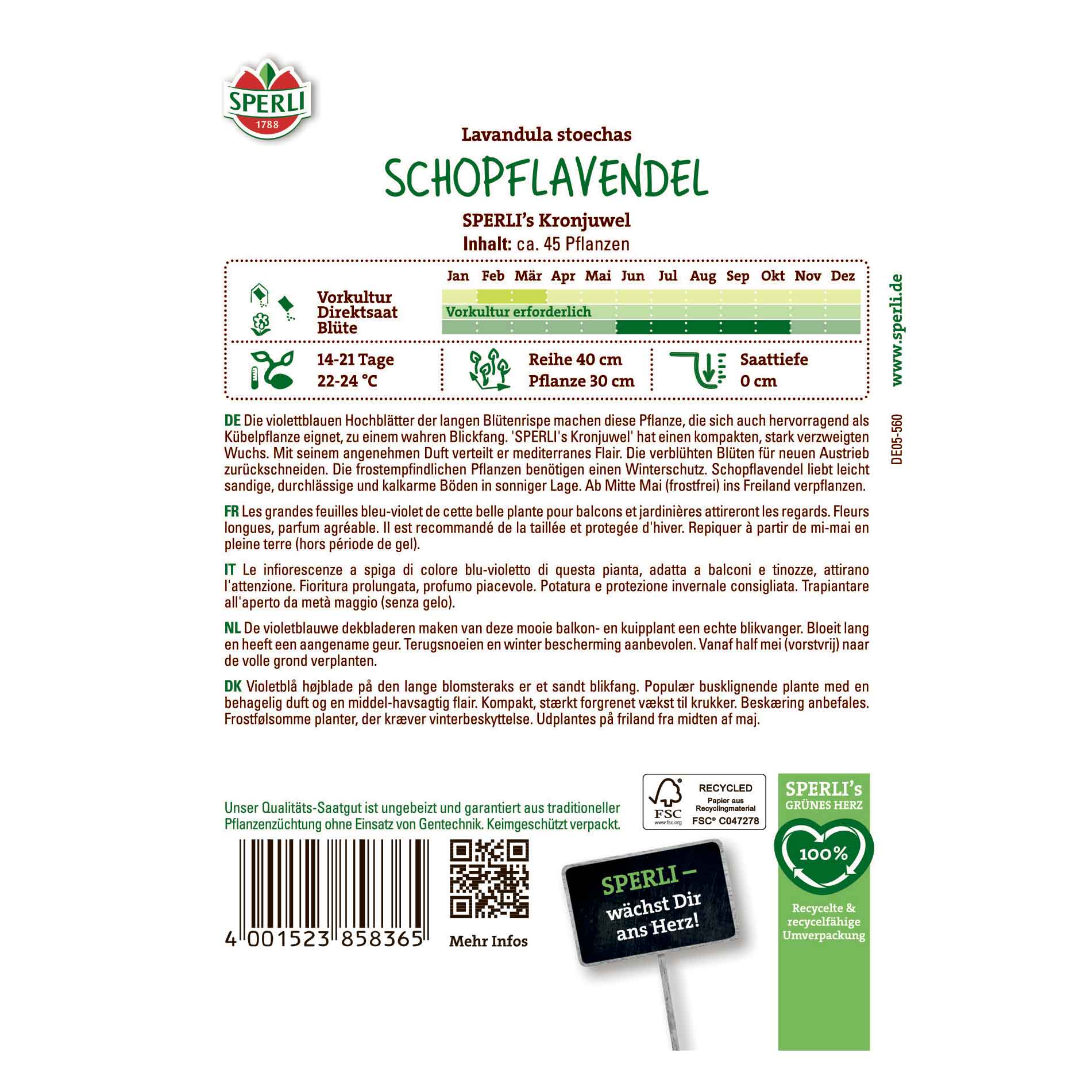 Butterfly lavender - SPERLI's Crown Jewel