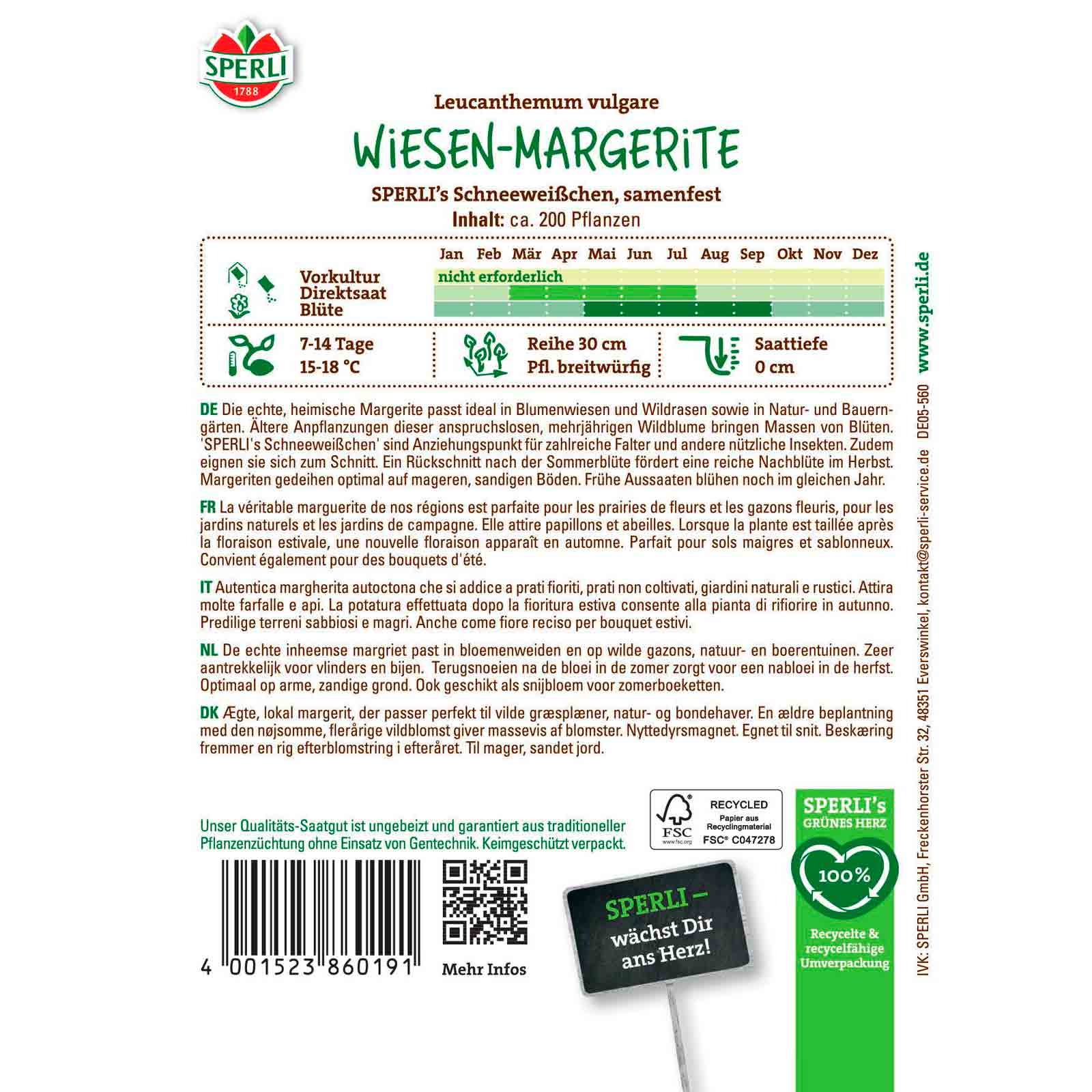 Wiesen-Margerite SPERLI's Schneeweißchen