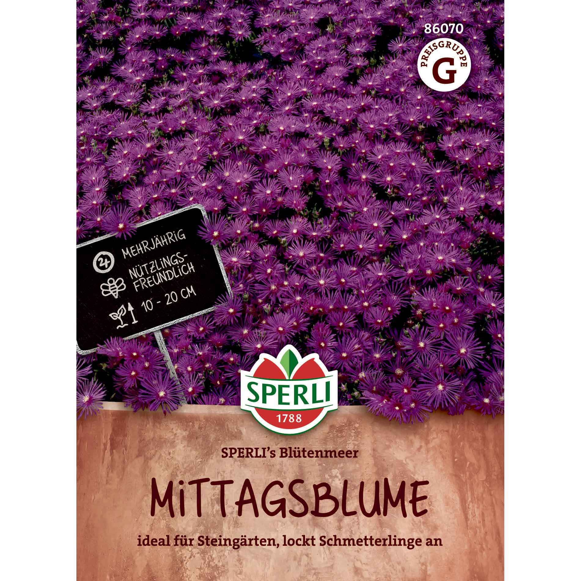 Middagsblomma - SPERLI's Sea of Flowers