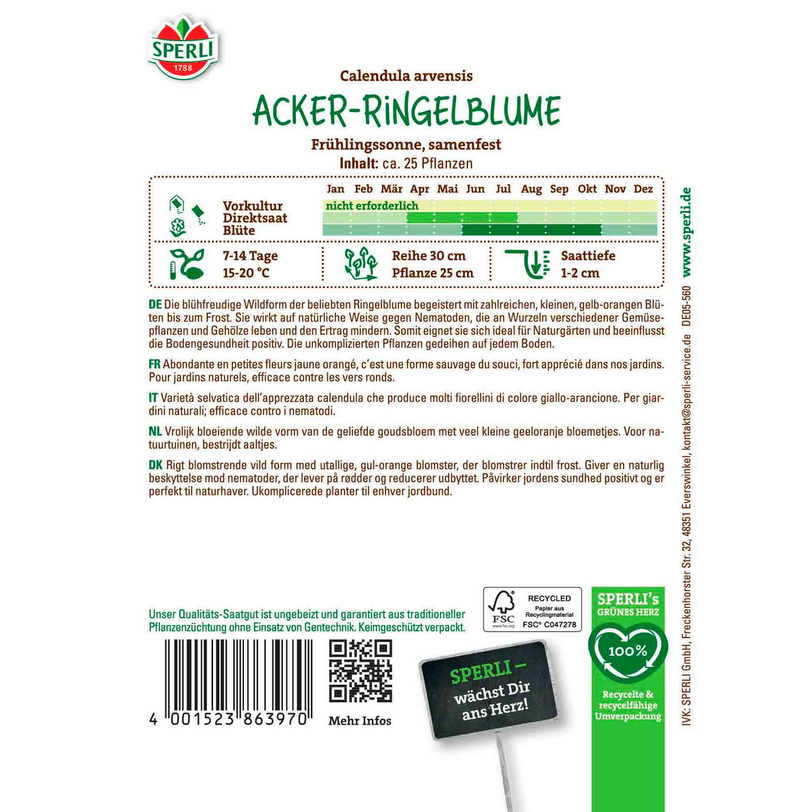 Acker-Ringelblume Frühlingssonne