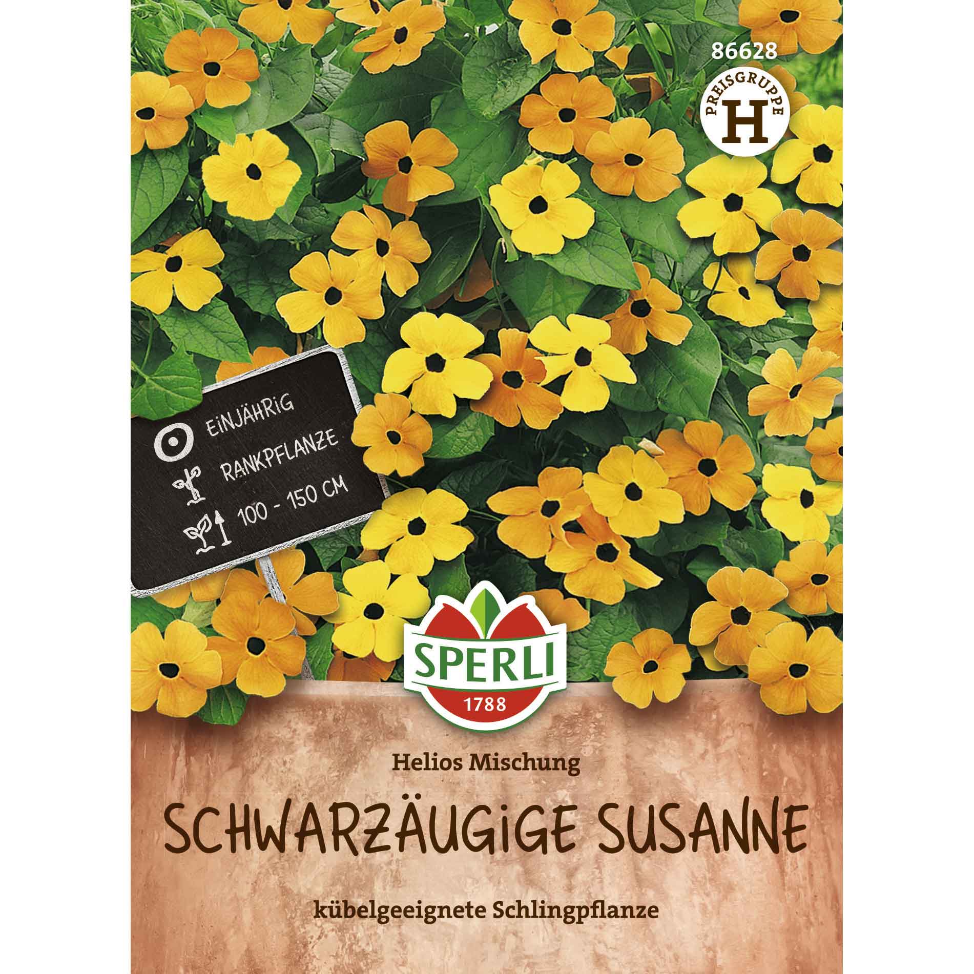 Susan med blåögonblandningen