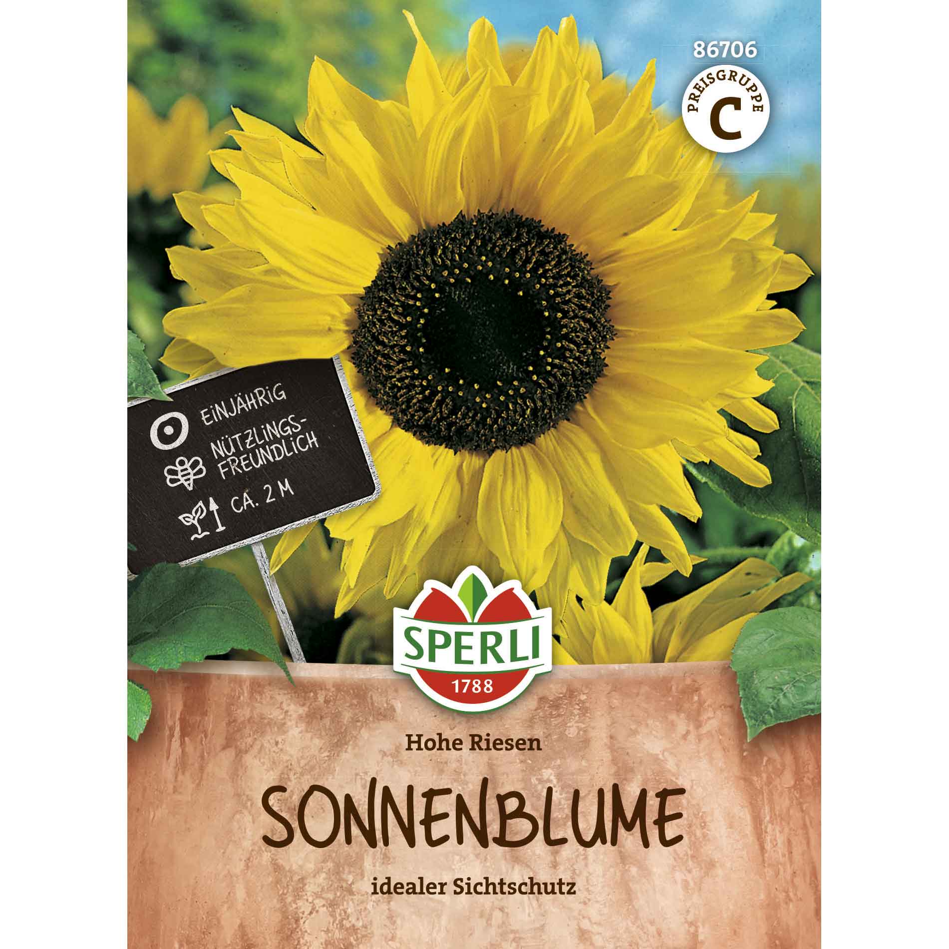 Sonnenblumen Hohe Riesen
