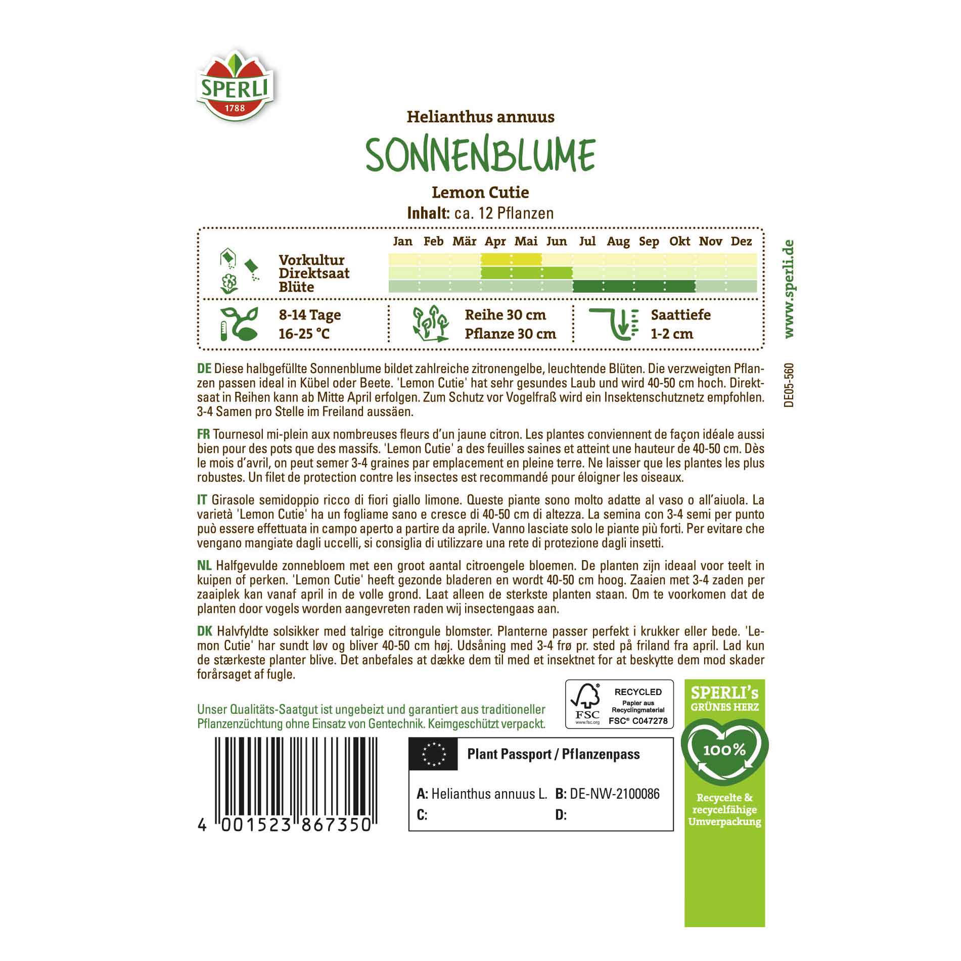 Sunflower Lemon Cutie