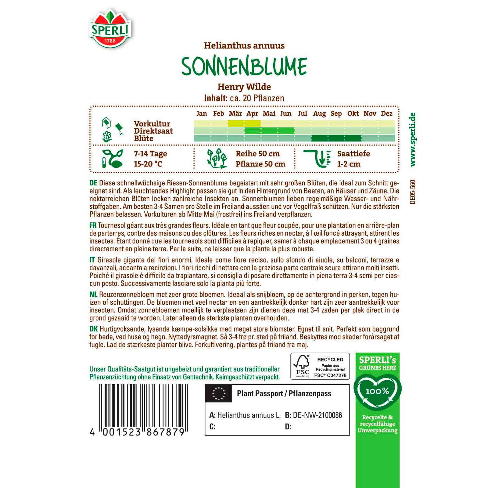 Sonnenblume Henry Wilde