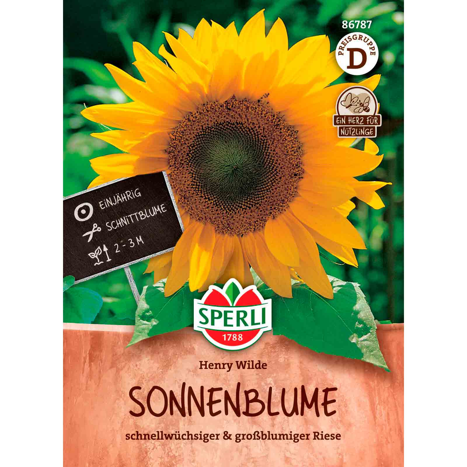 Sonnenblume Henry Wilde