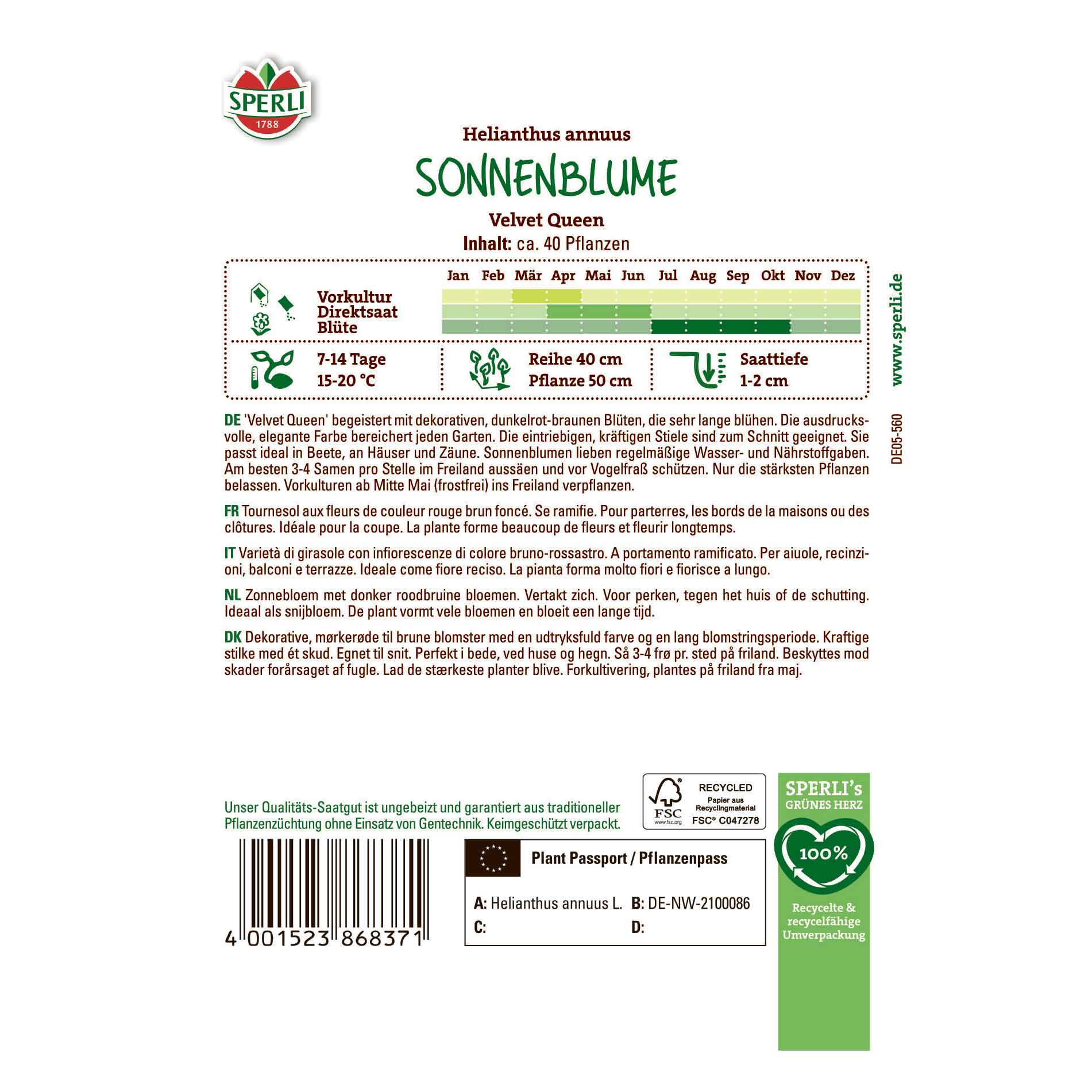 Solros - Sammetsdrottning