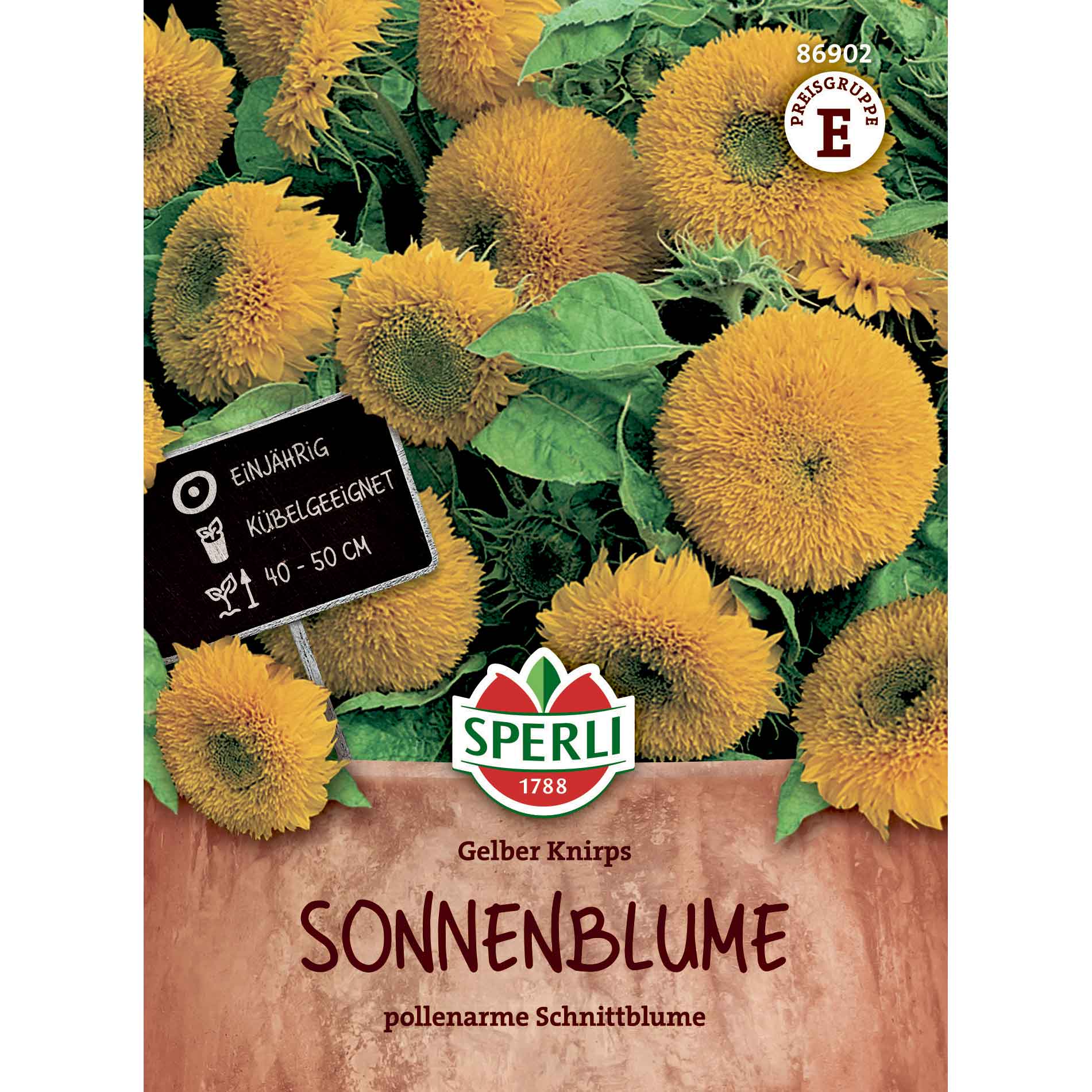 Solsikke - Gelber Knirps, F1
