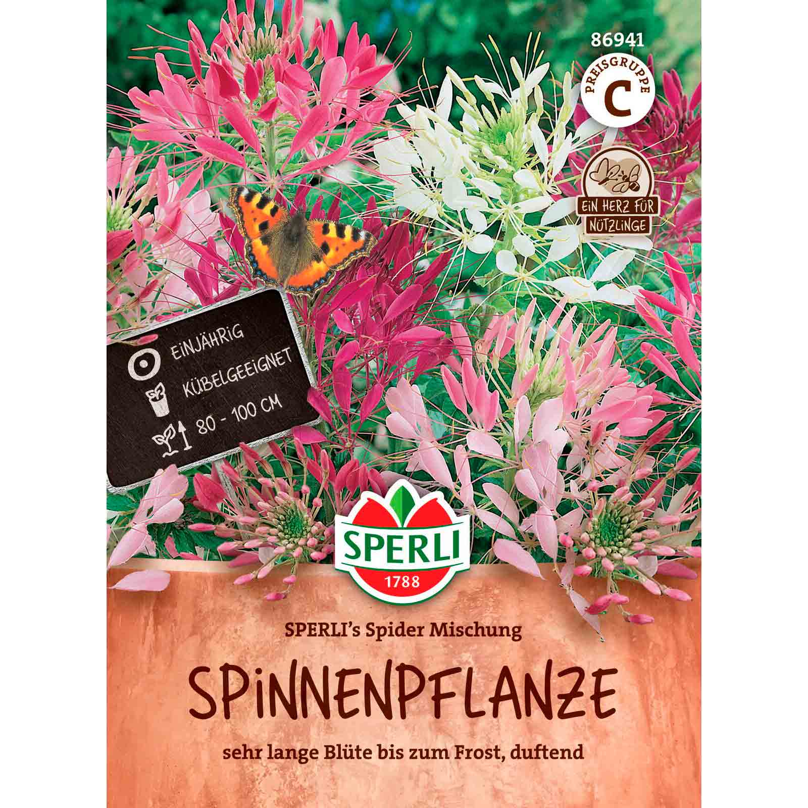 Spinnenpflanze SPERLI's Spider Mischung