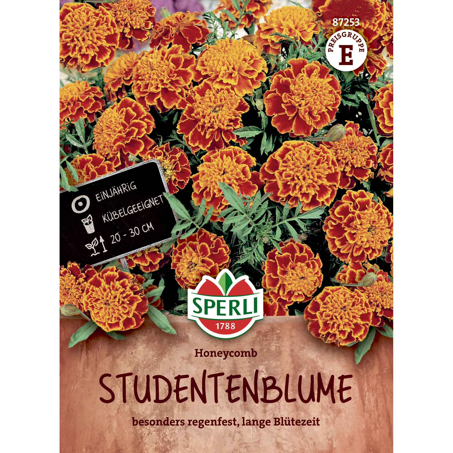 Student Blomma Honeycomb