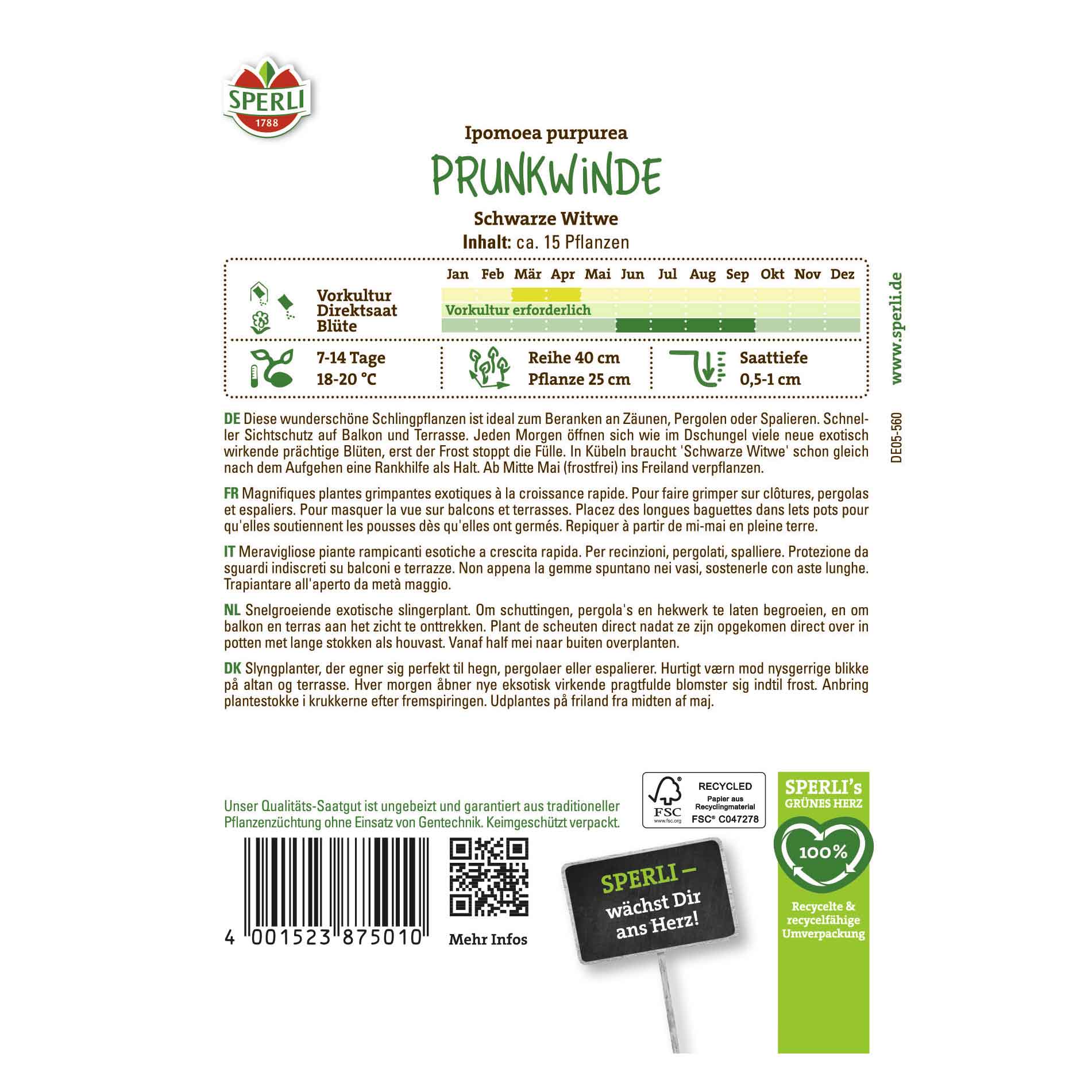 Black Widow Windflower