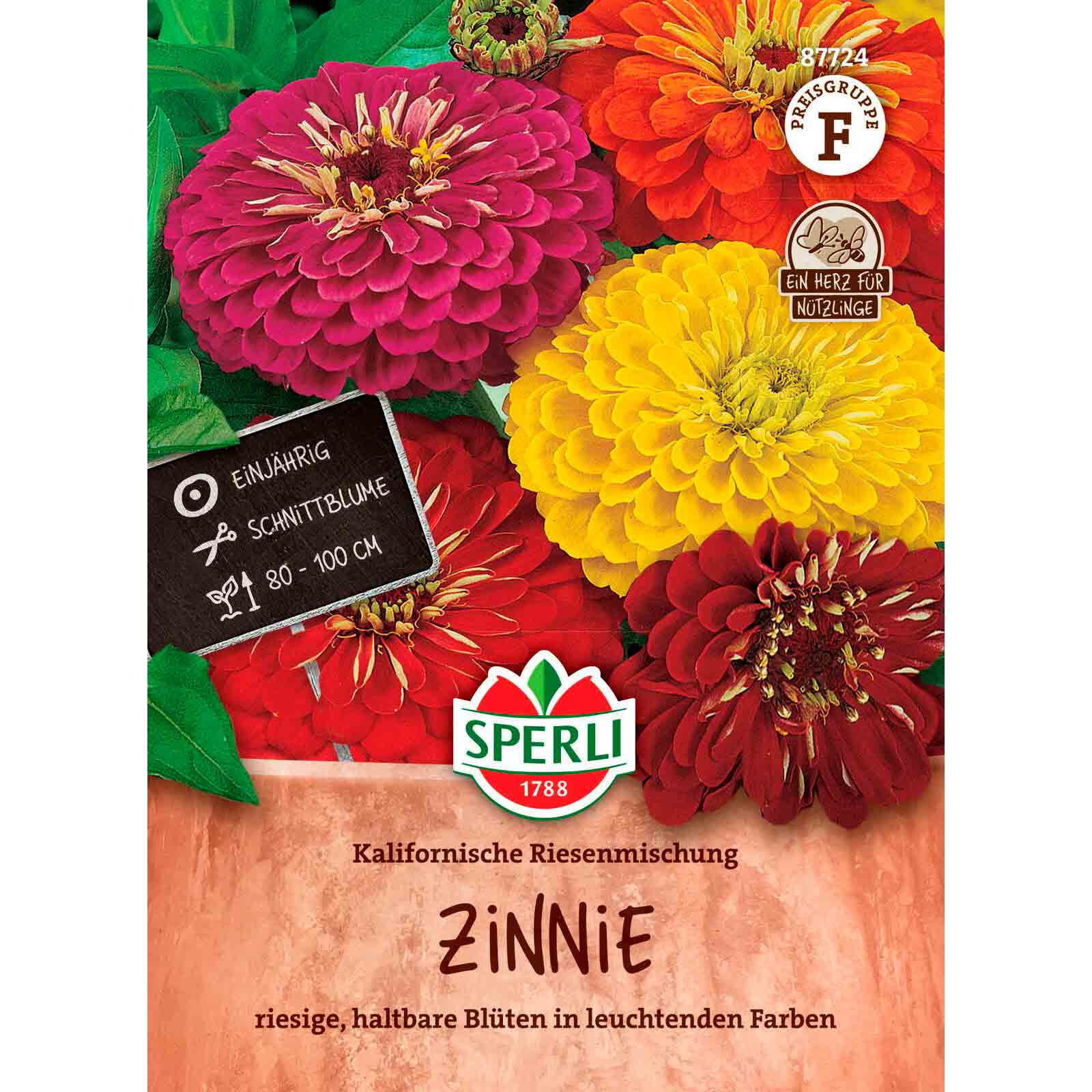 Zinnie Kalifornische Riesenmischung