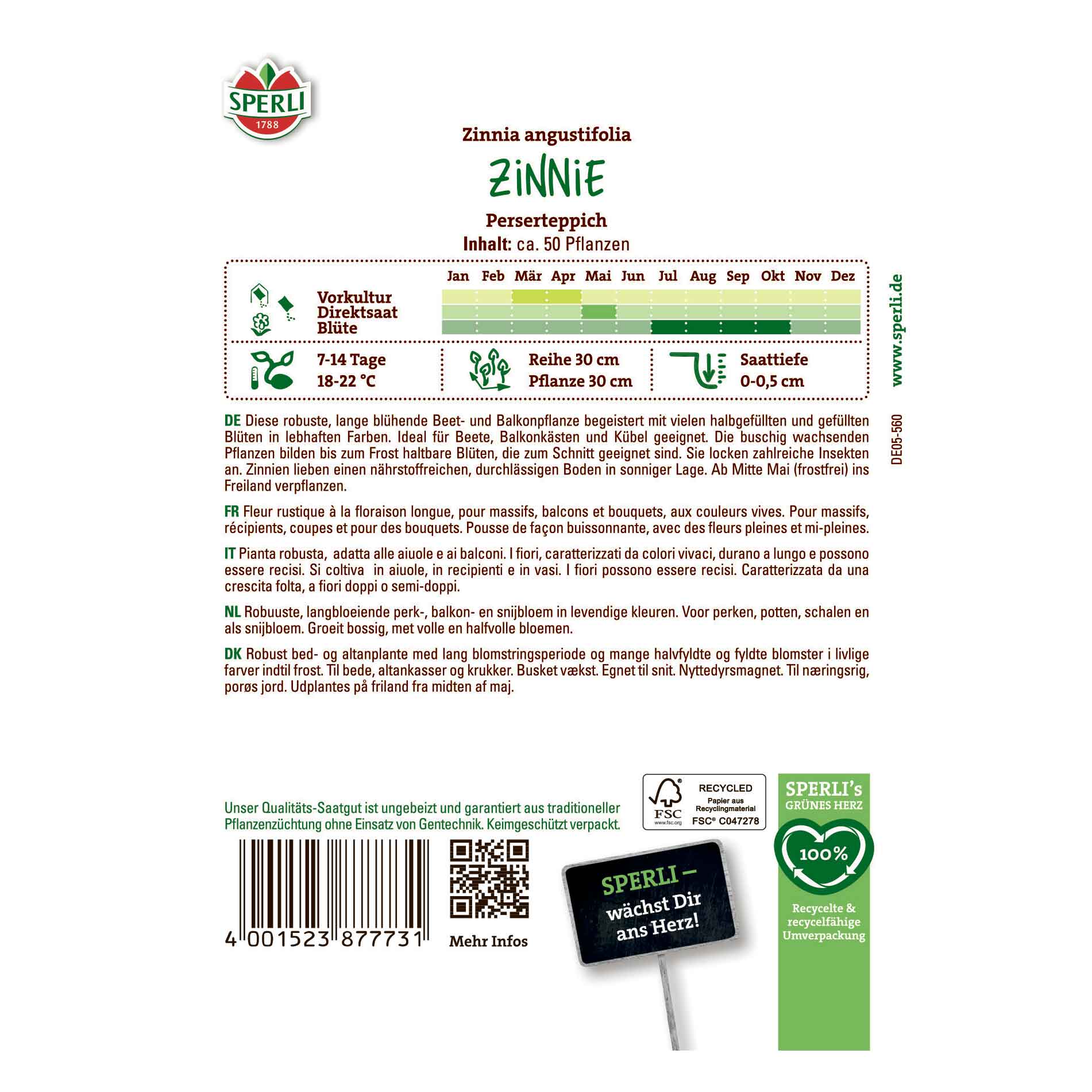 Miss Hat - Persian Carpet