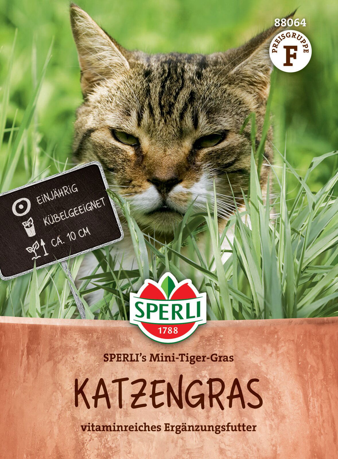 Cat Grass SPERLI:s Mini Tiger Grass