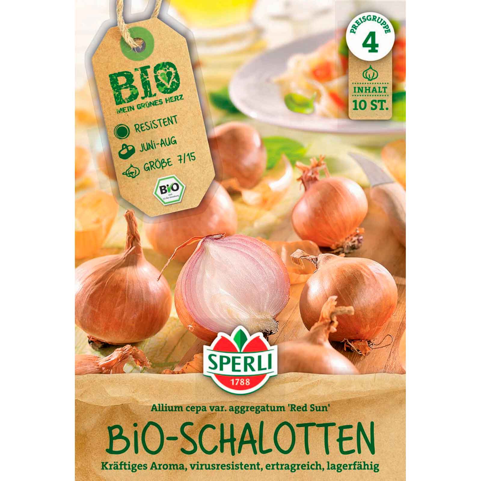 BIO-Schalotte Red Sun