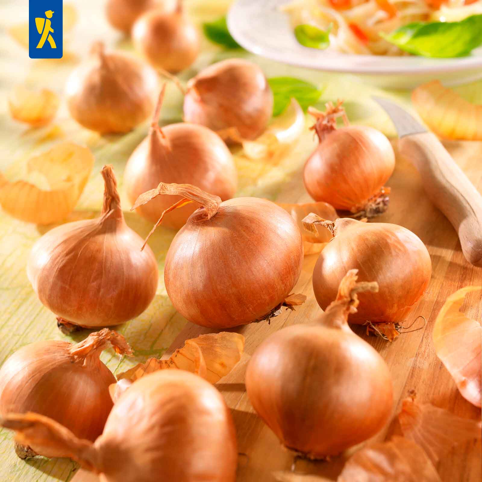 Rote Schalotten, Gr.7/14, 400 g