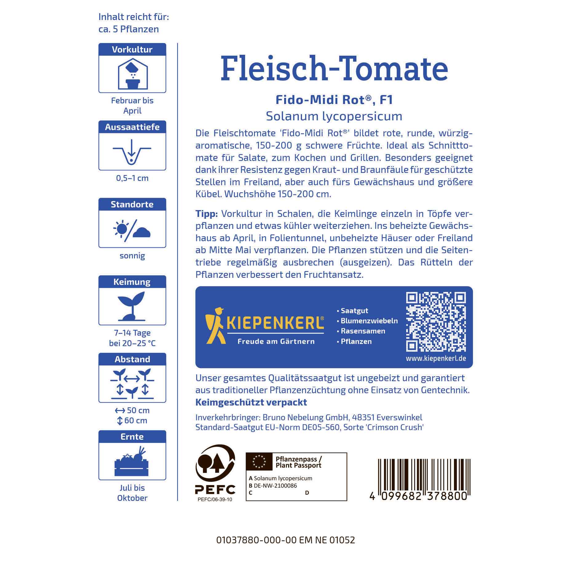 Beefsteak tomato Fido-Midi Rot®, F1