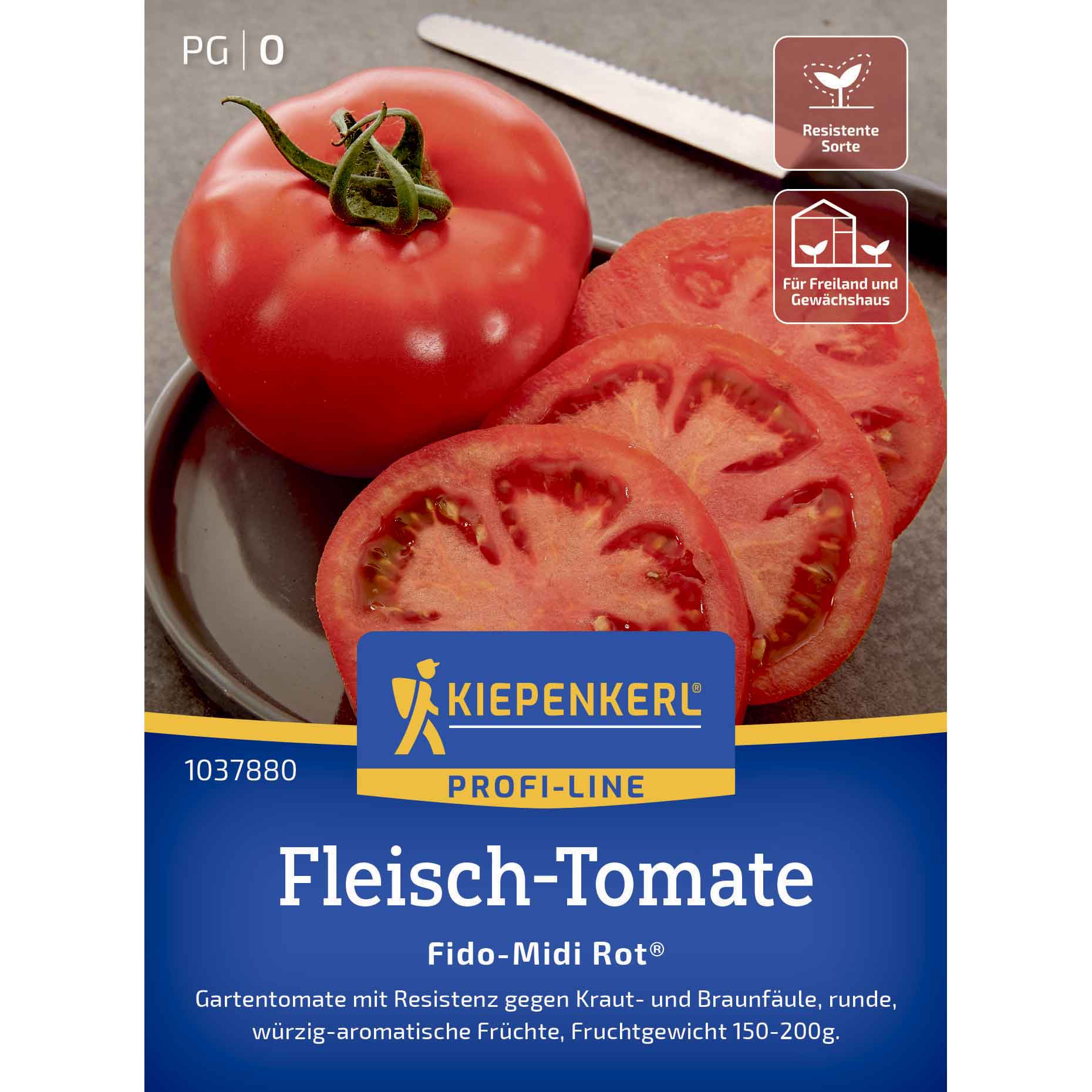 Beefsteak tomato Fido-Midi Rot®, F1