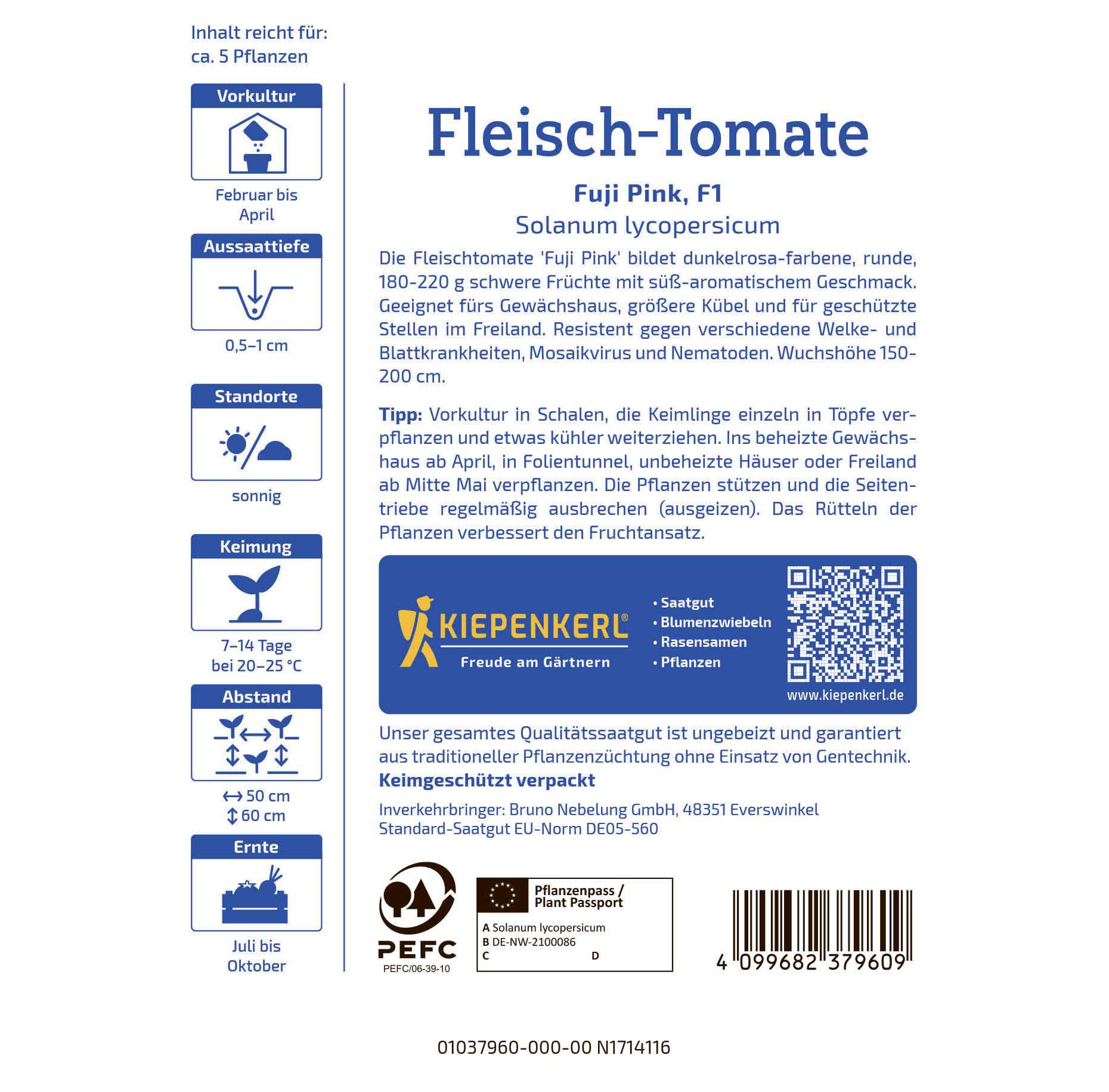 Beefsteak tomato Fuji Pink, F1