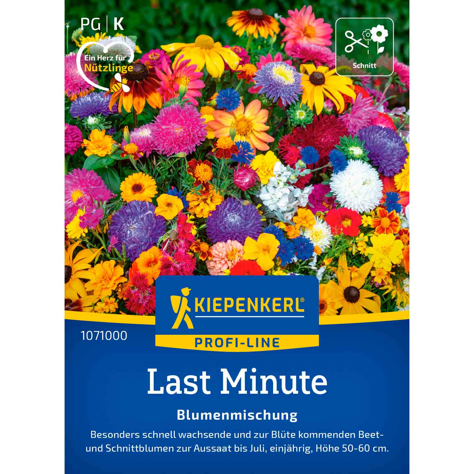 Blumenmischung Last Minute