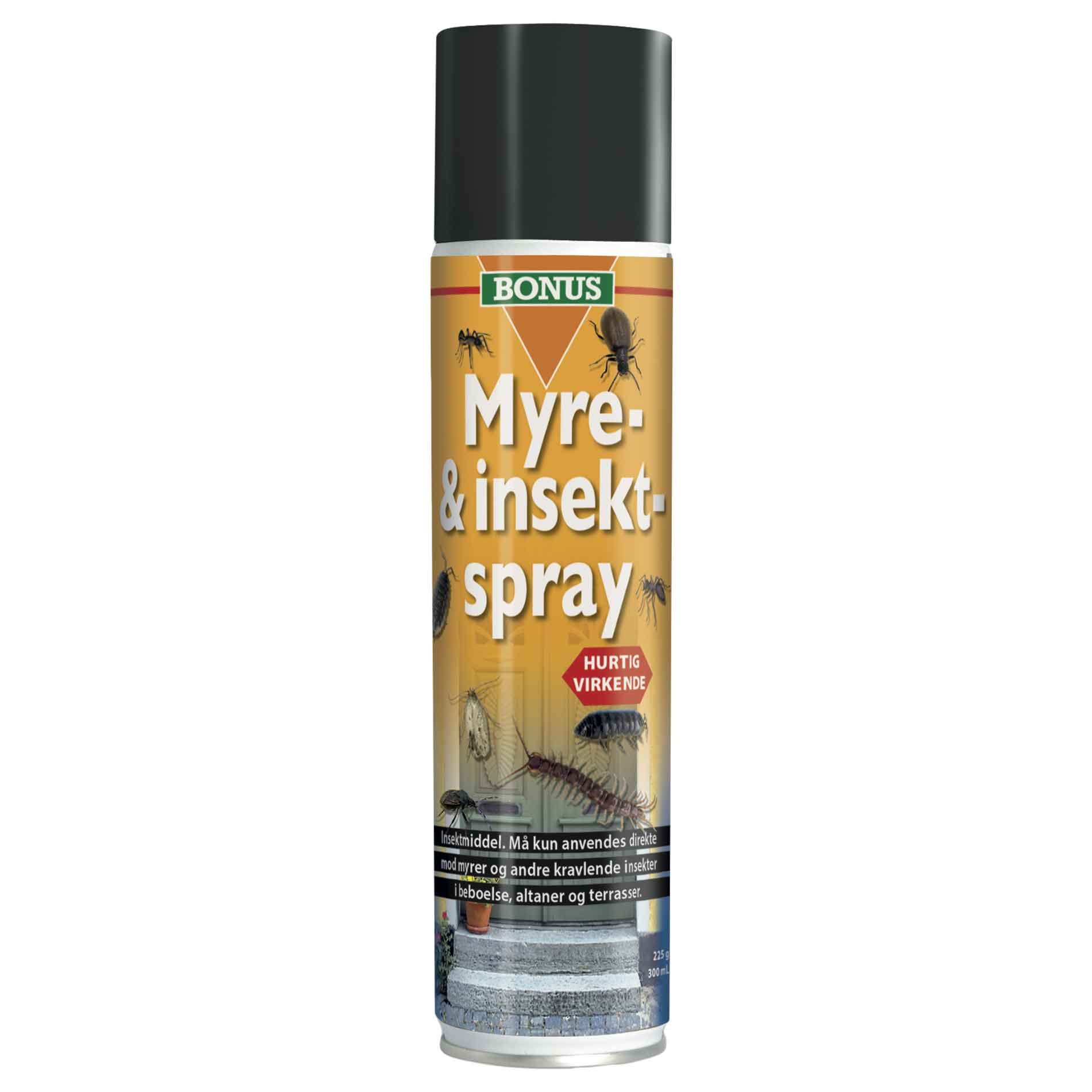 BONUS Ant and Insect Spray (good against moths)