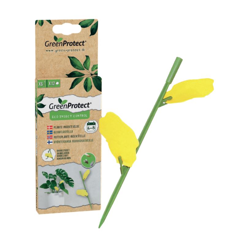 GP Plant Insektsfälla