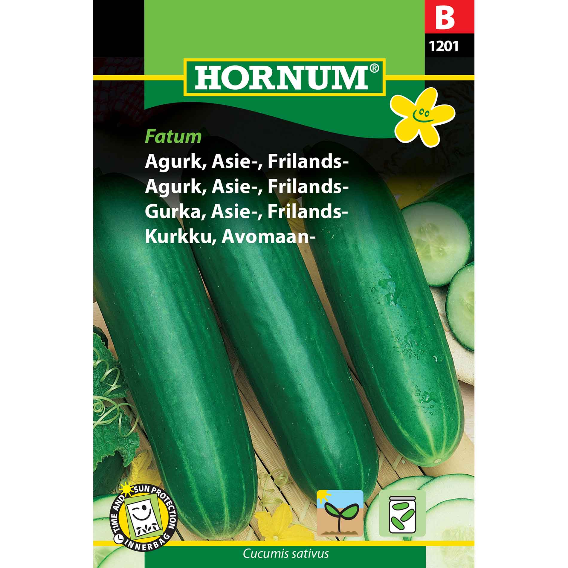 Gurka, asiatisk, utomhus (B)