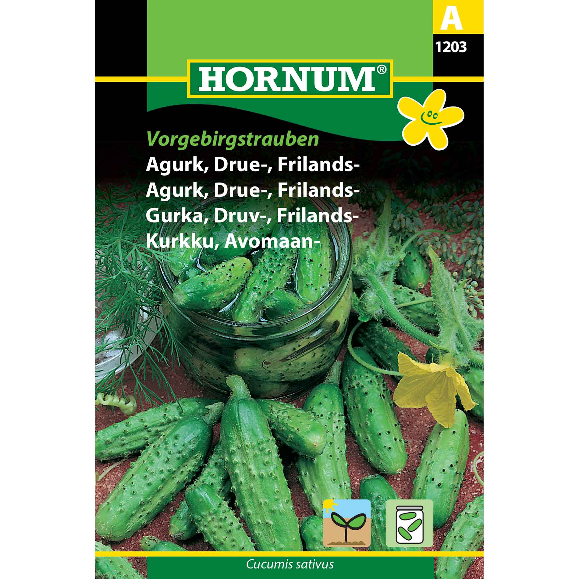 Cucumber seeds - Grape cucumber - Free-range - Vorgebirgs.