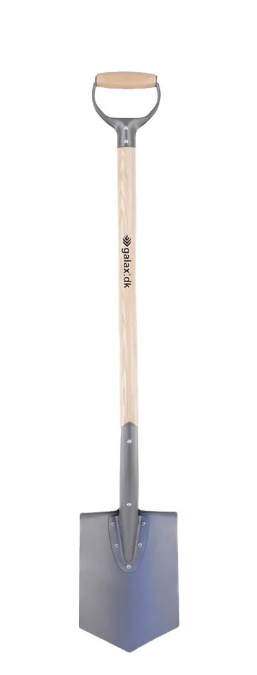 Galax spetsig spade