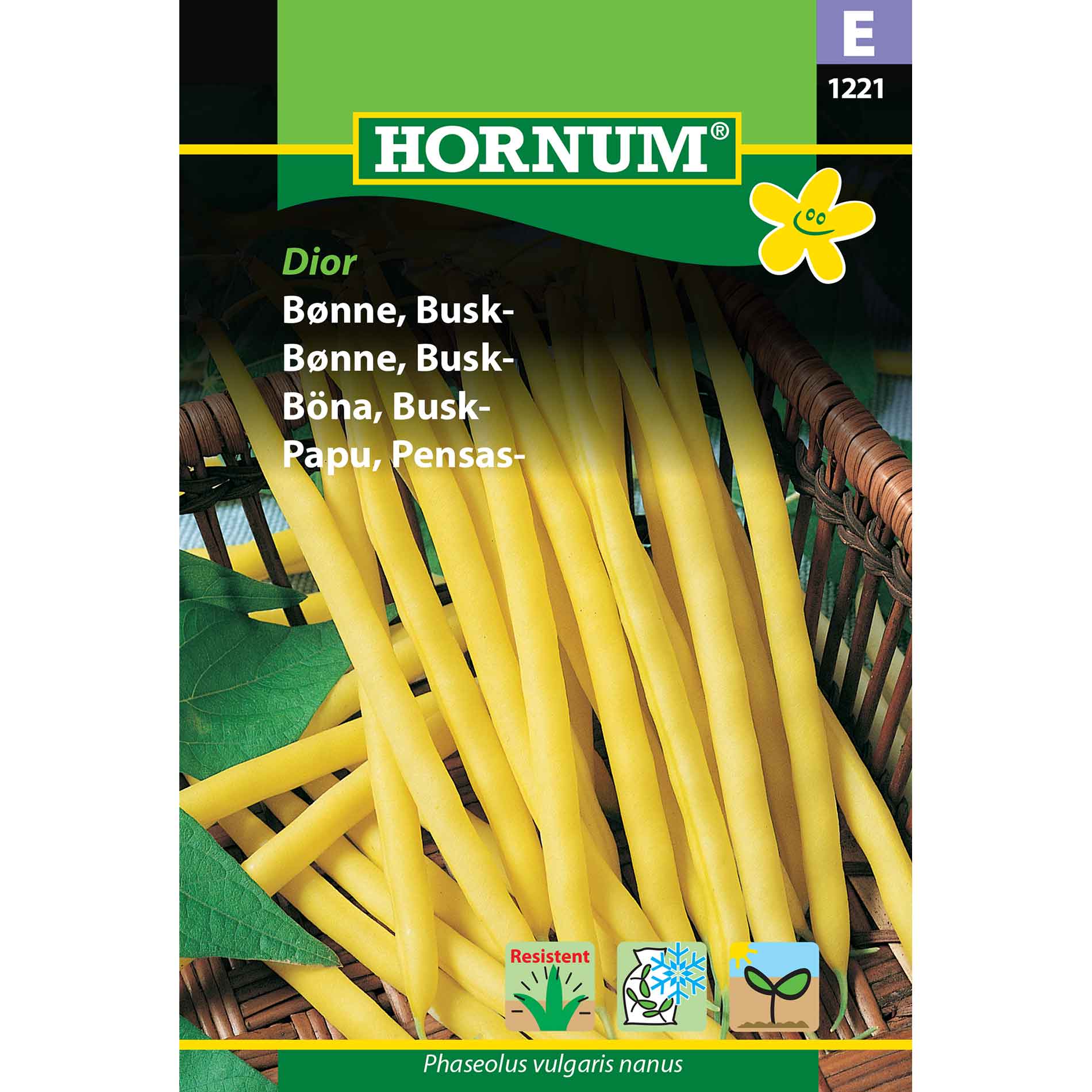 Frön från buskbönor - Phaseolus vulgaris nanus 'Dior'