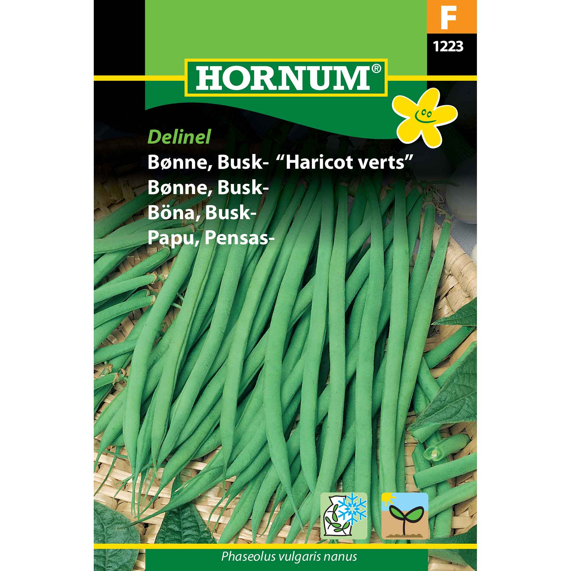 Bush bean - Delinel/Harricot Verts