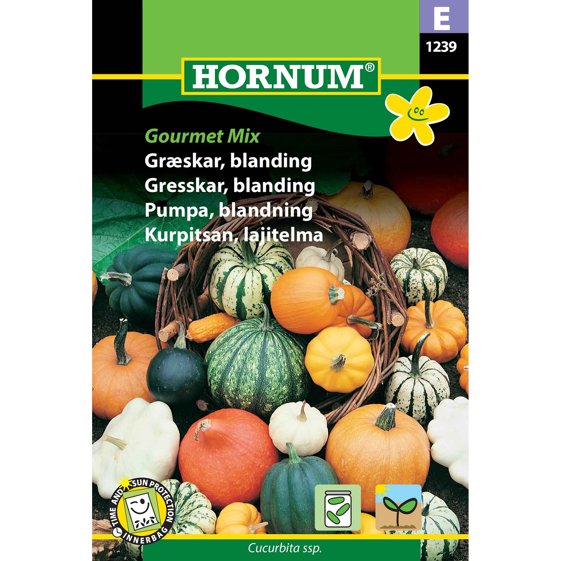 Pumpkin Seeds - Mixture, Gourmet Mix