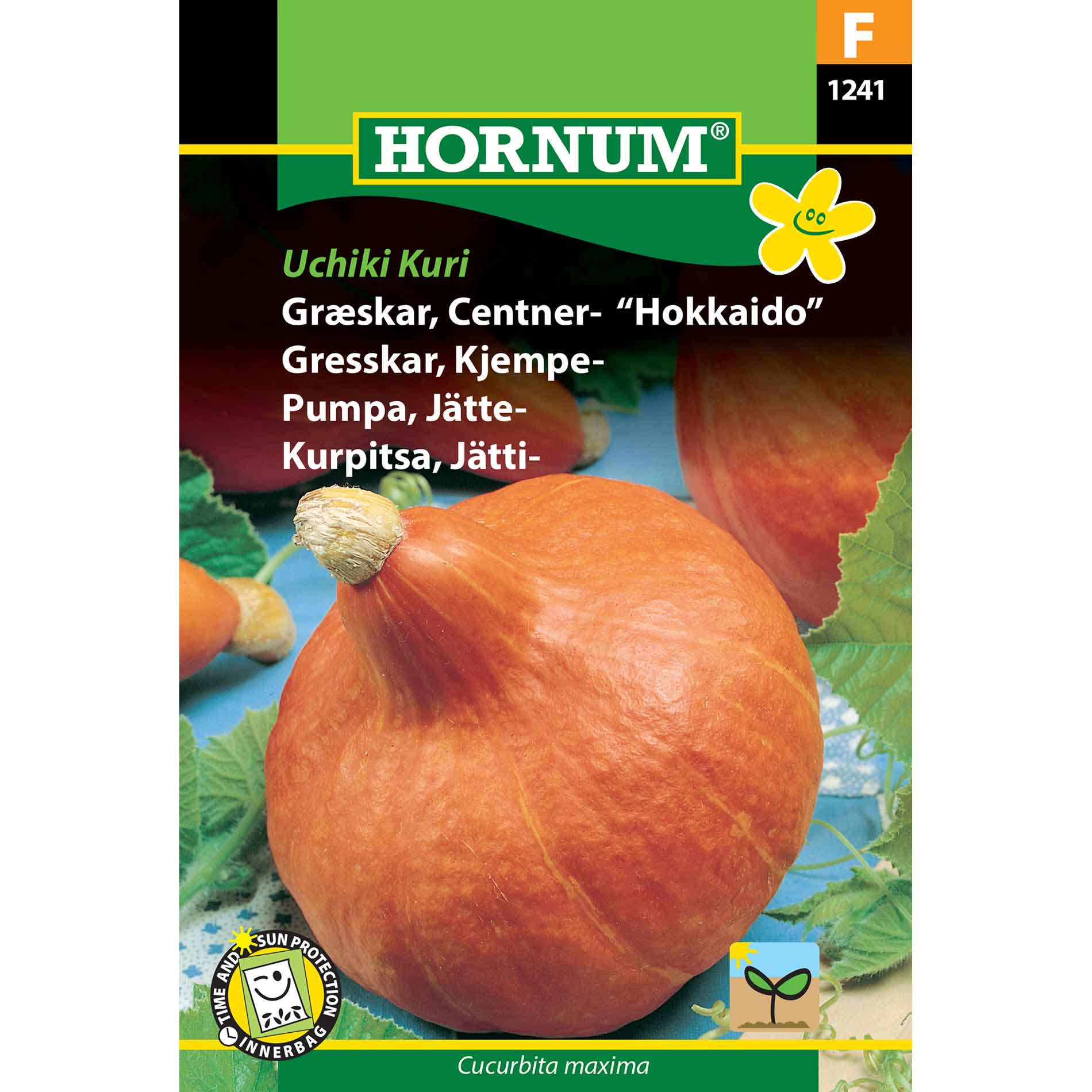 Pumpkin Seeds - Centners - Uchiki Kuri