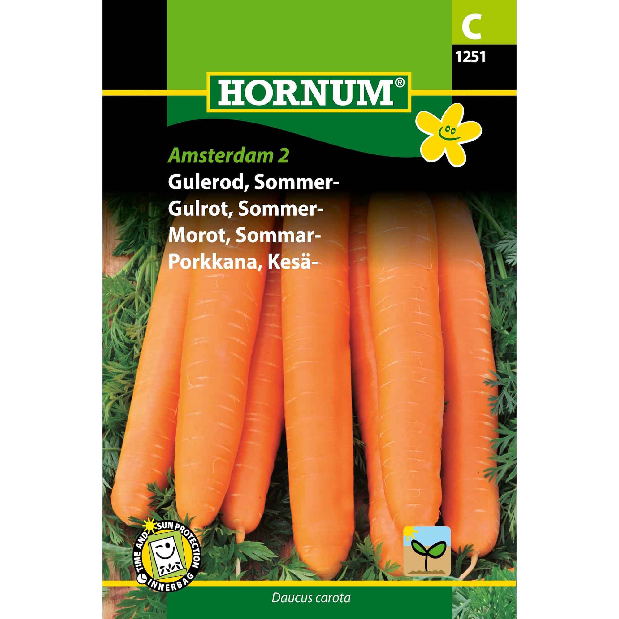 Gulerod, Sommer- Amsterdam 2