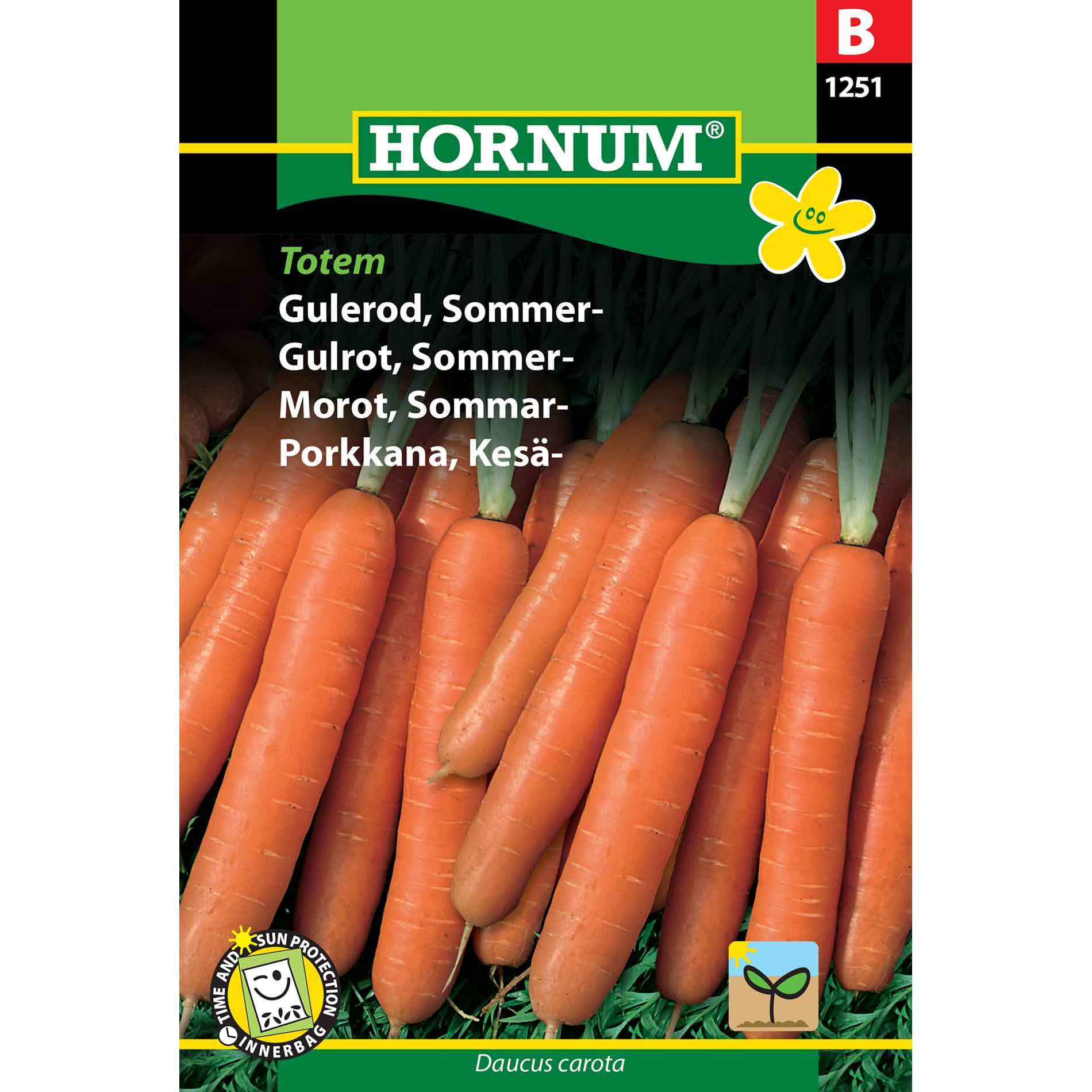 Carrot, Summer, Amsterdam 2 (B)