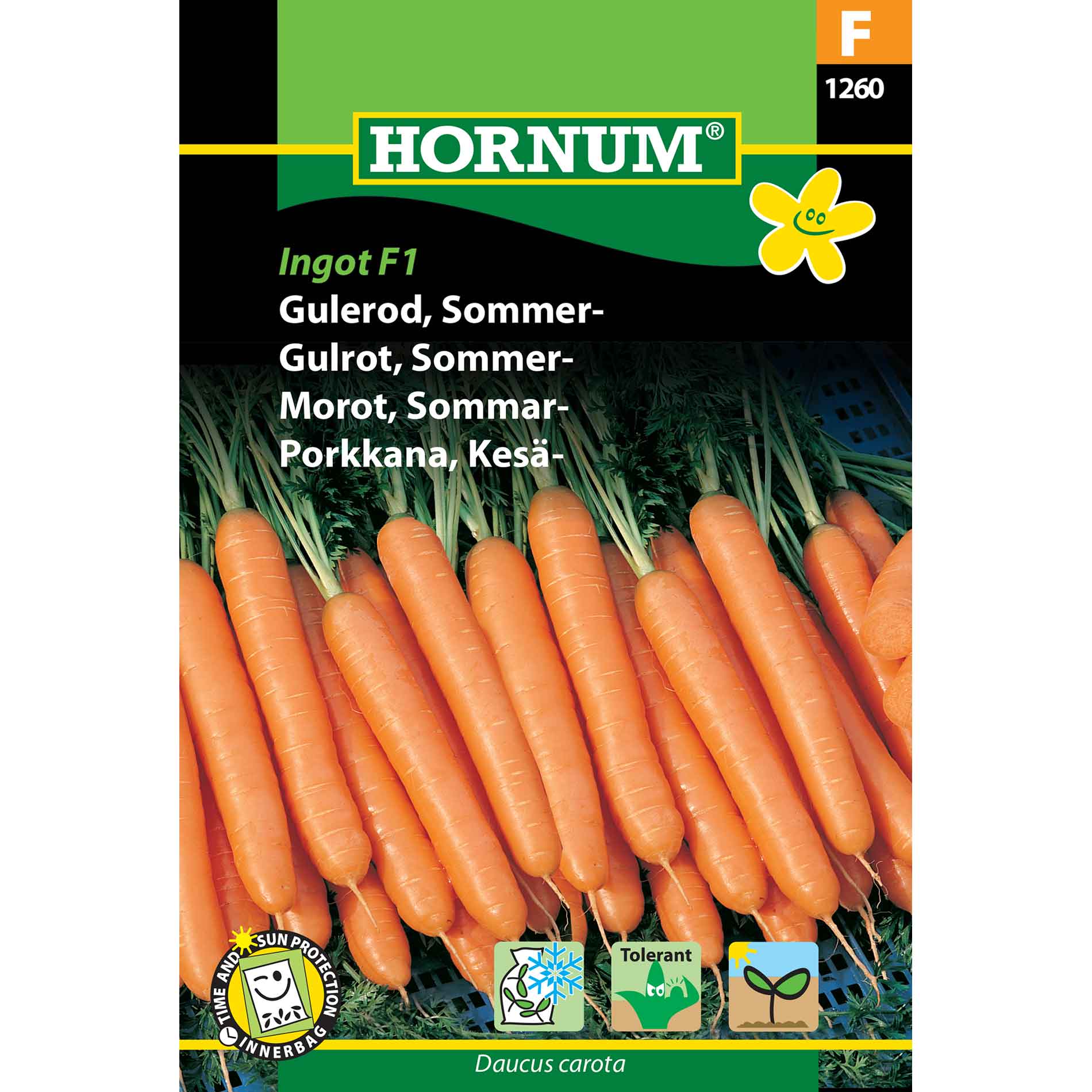 Carrot, Summer, Ingot F1 (F)
