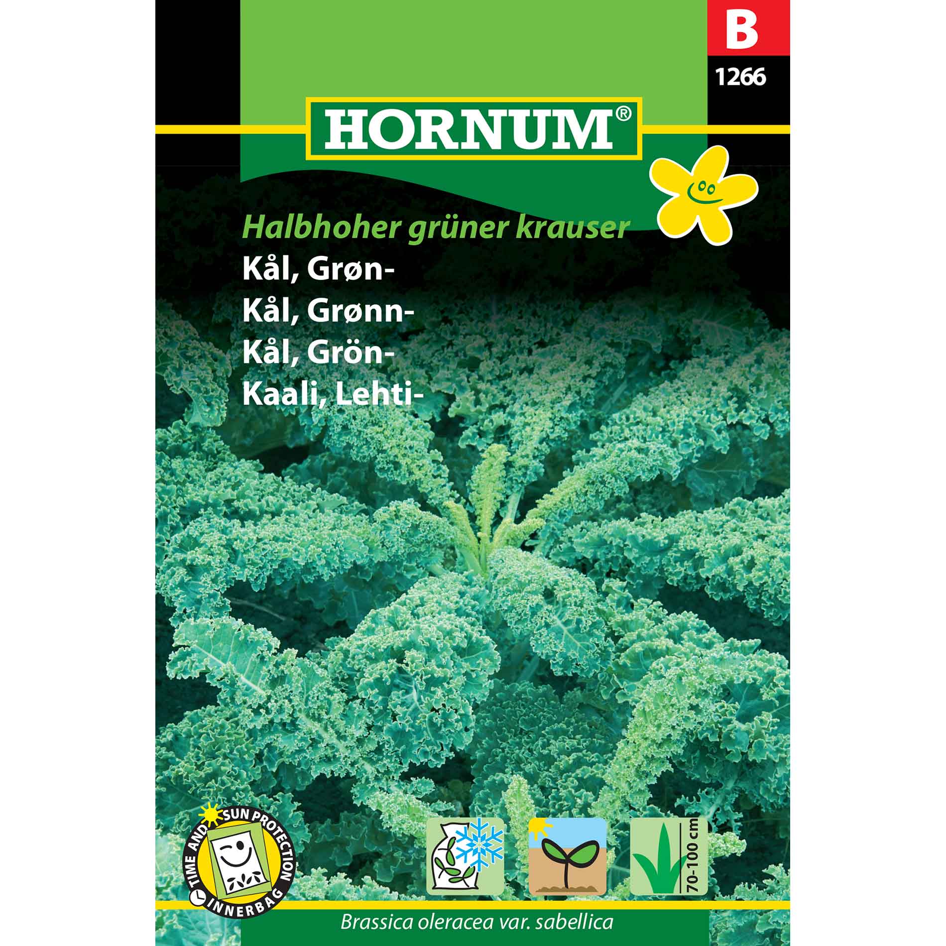Grönkålsfrön - Halbhoer grüner krauser