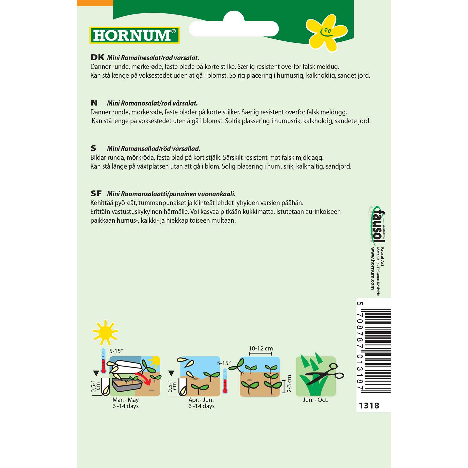 Sallad, romersk, övermogen (F)